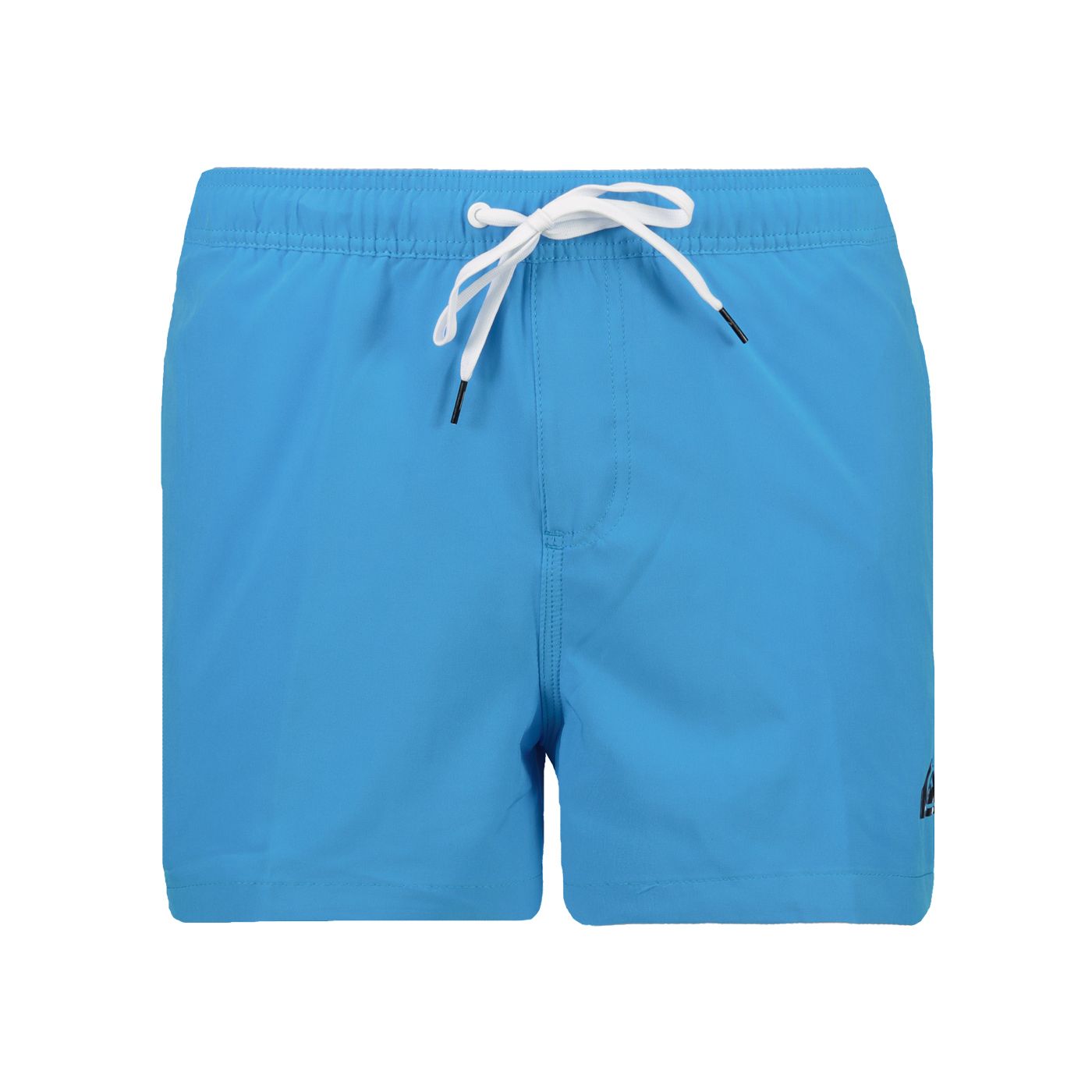 Men's swim shorts QUIKSILVER EVDAYSTRVL15 M JAMV