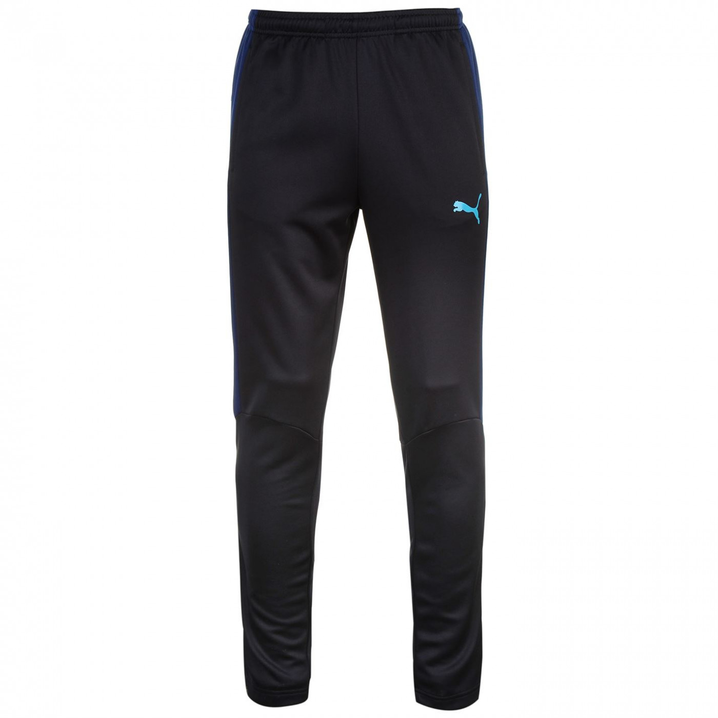 Puma evo training hot sale tracksuit bottoms mens