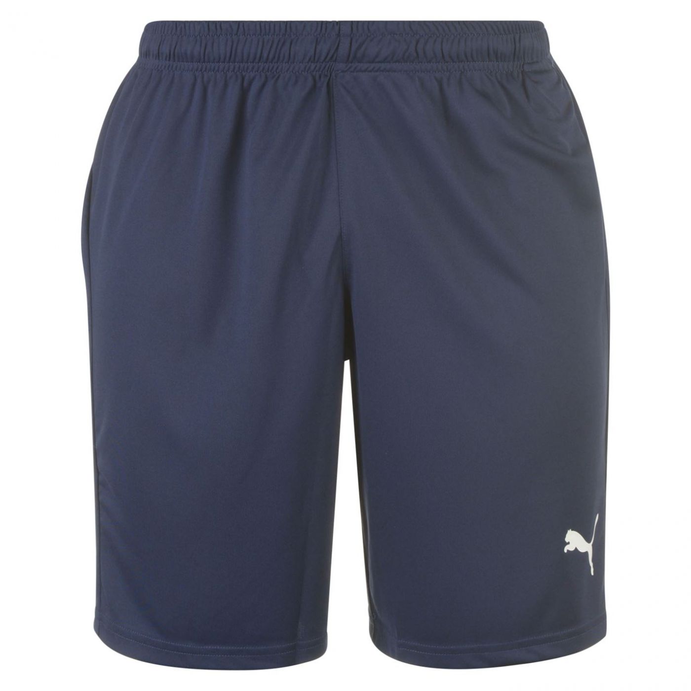 Puma Liga Shorts Mens