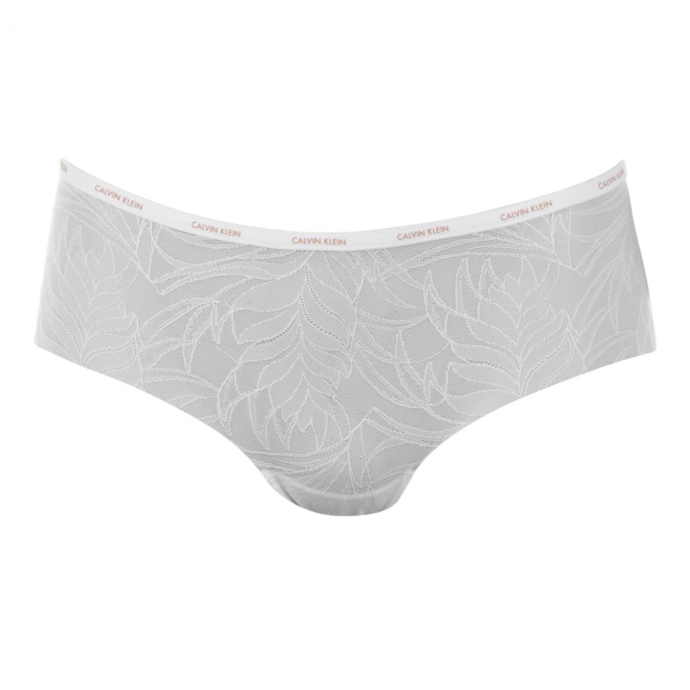 Calvin Klein Sheer Briefs