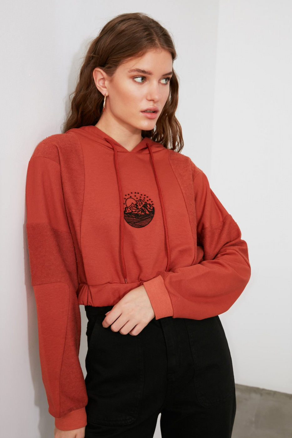 Trendyol Cinnamon Crop Embroidered Knitted Sweatshirt