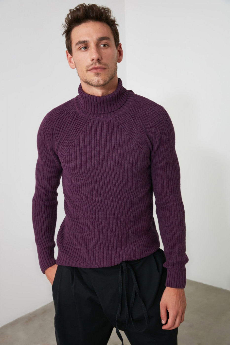 Trendyol Purple Male Sweater