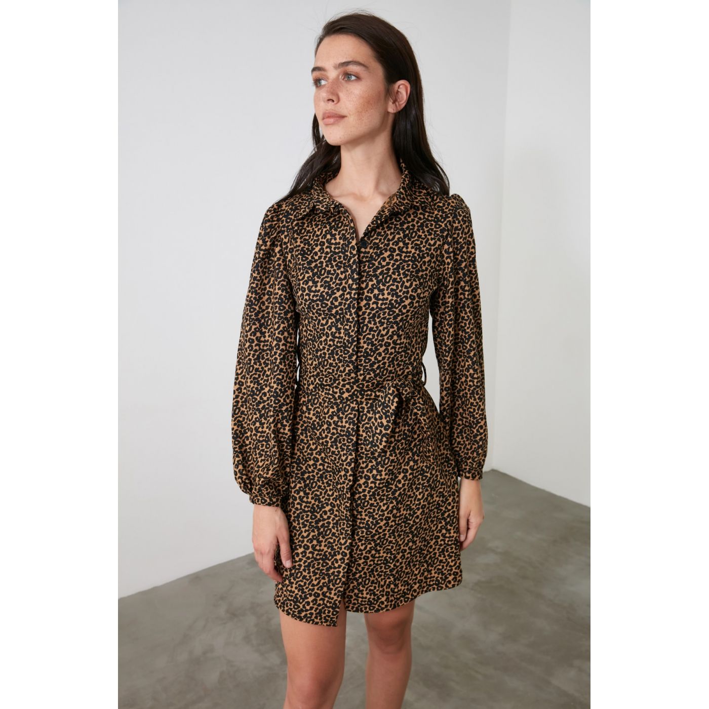 Trendyol Leopard Print Dress with Multicolored Belt