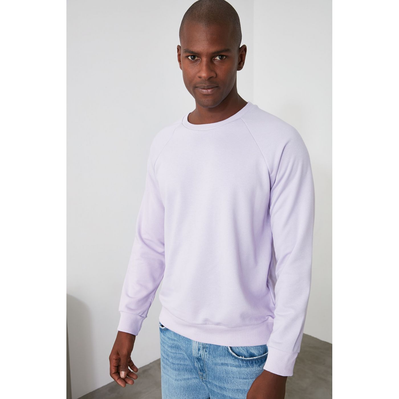 Trendyol Lila Men's Regular Fit Sweatshirt
