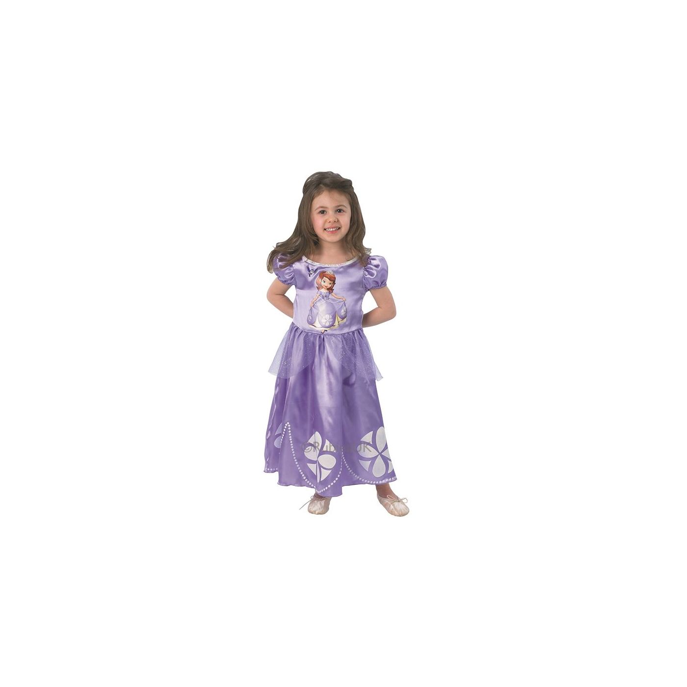 Disney Princess Dress Up