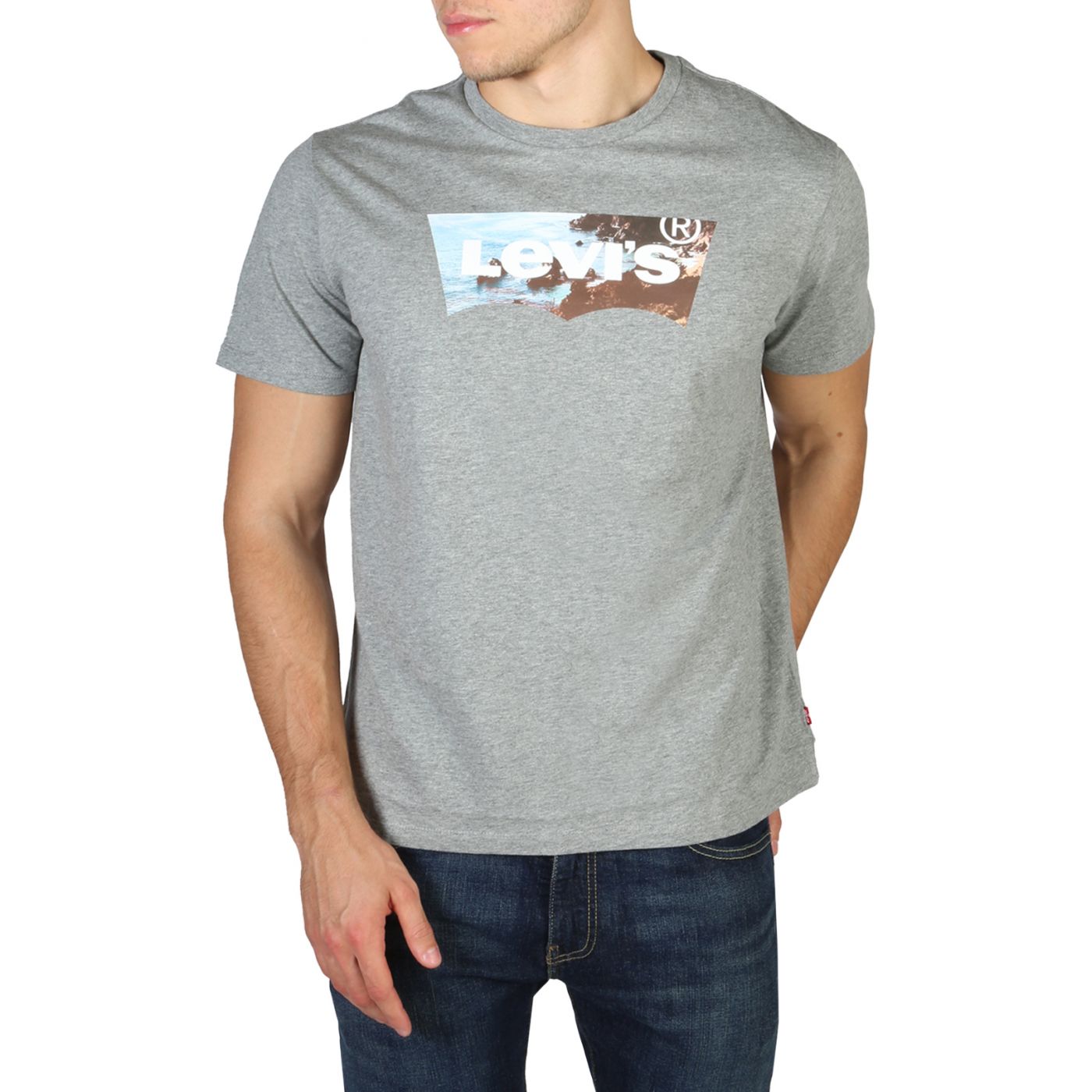 Levis 22489_HOUSEMARK-GRAPHIC