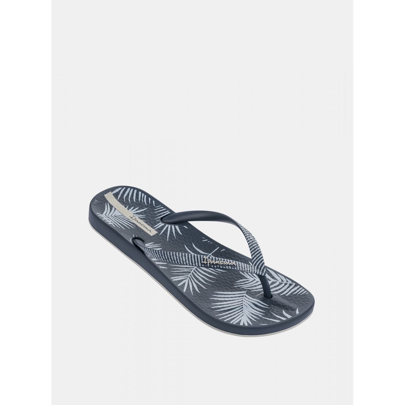 Blue women's striped flip-flops Ipanema