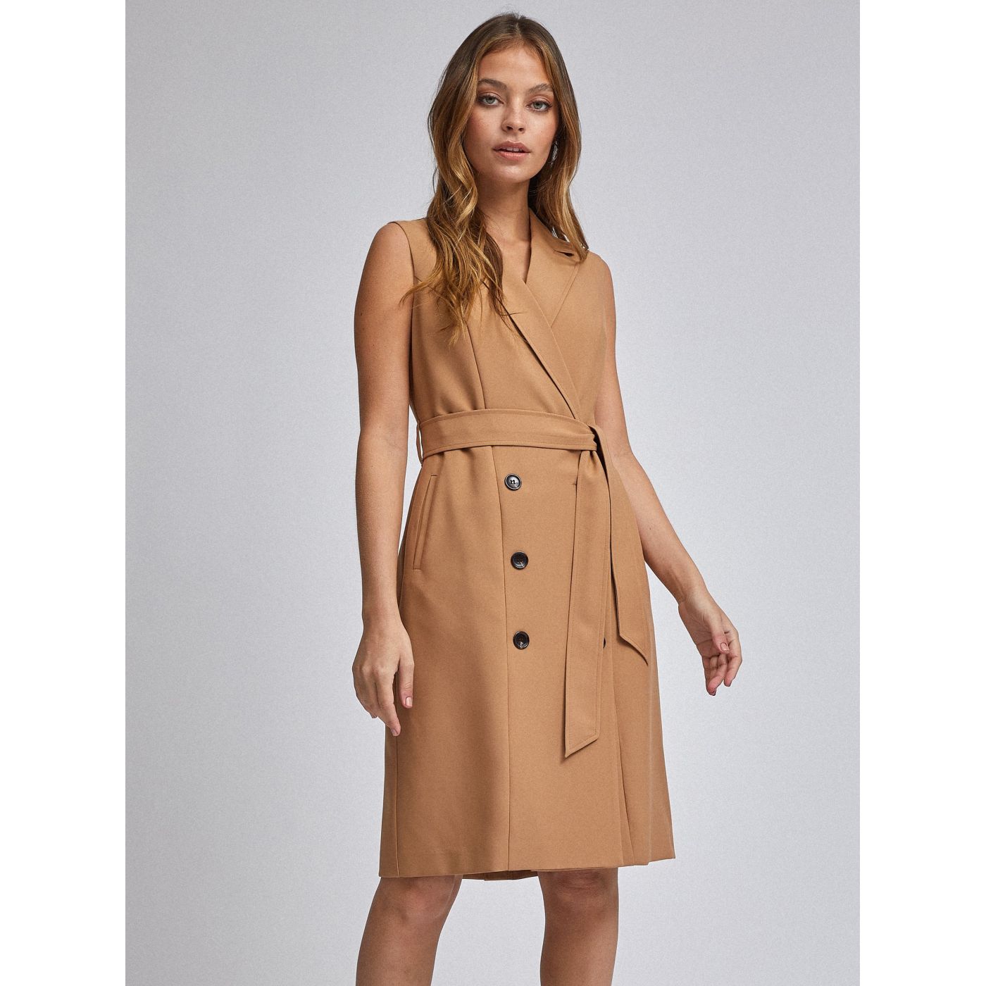 Dorothy Perkins Petite Brown Dress