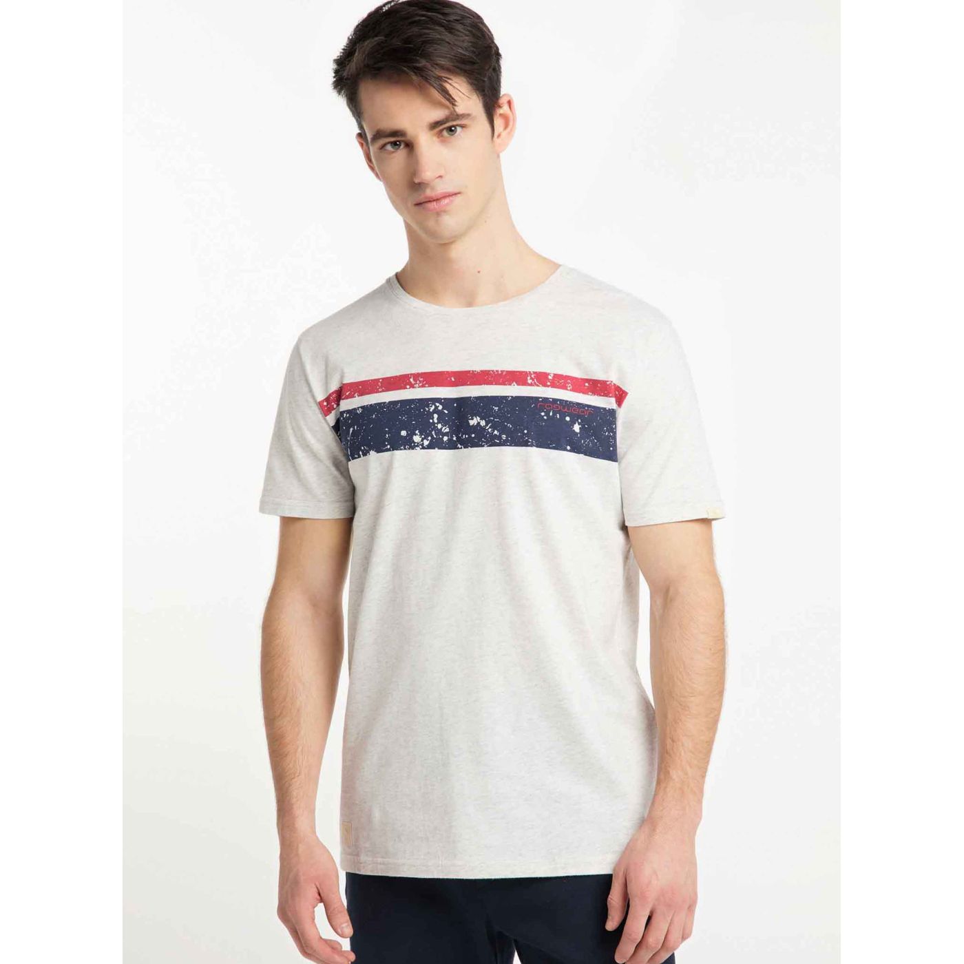 Light Grey Men's T-Shirt with Ragwear Hake Organic Print