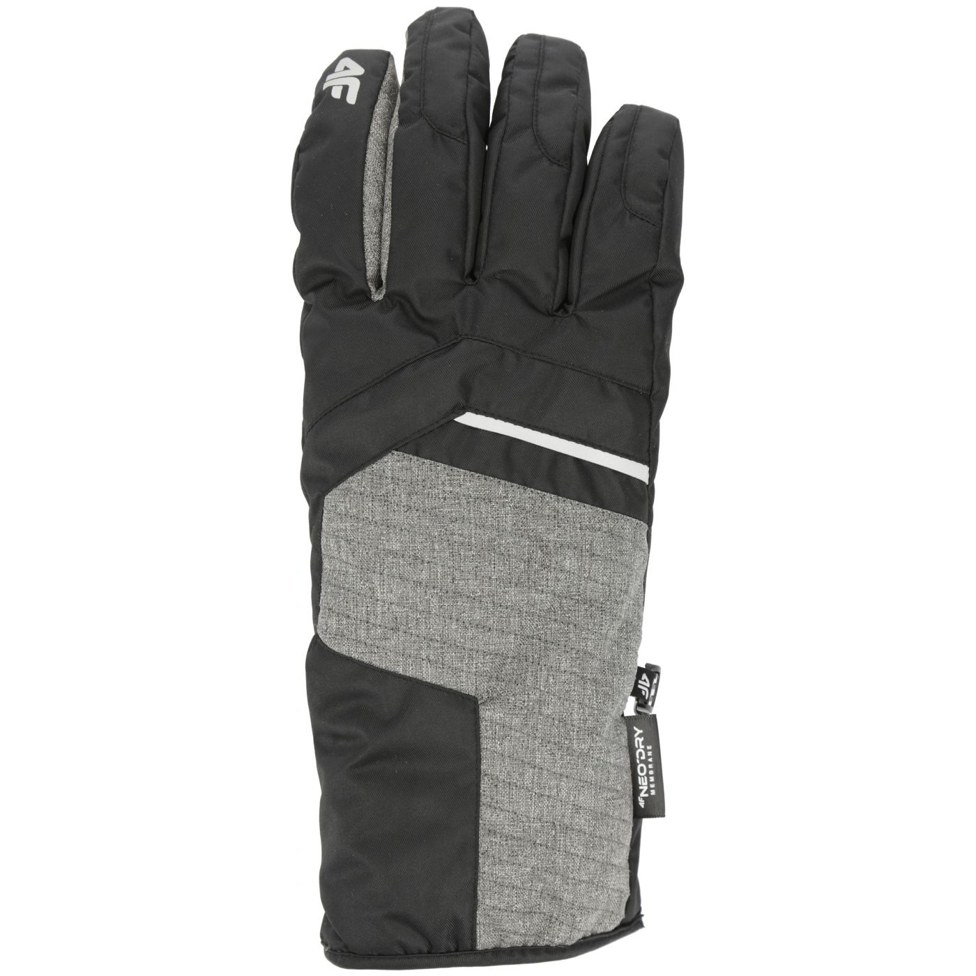 Men's ski gloves 4F REM003
