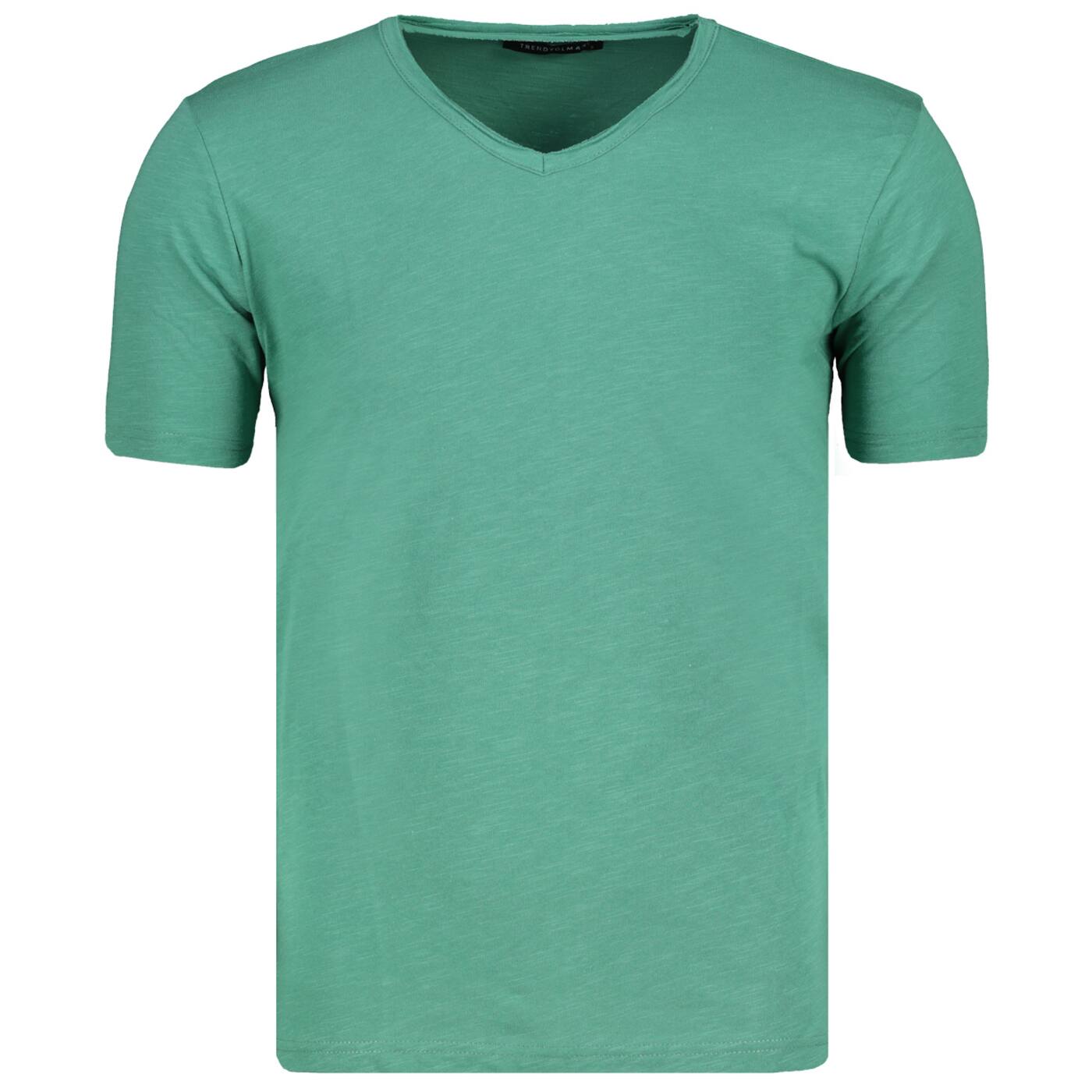 Meeste T-särk Trendyol Regular Fit