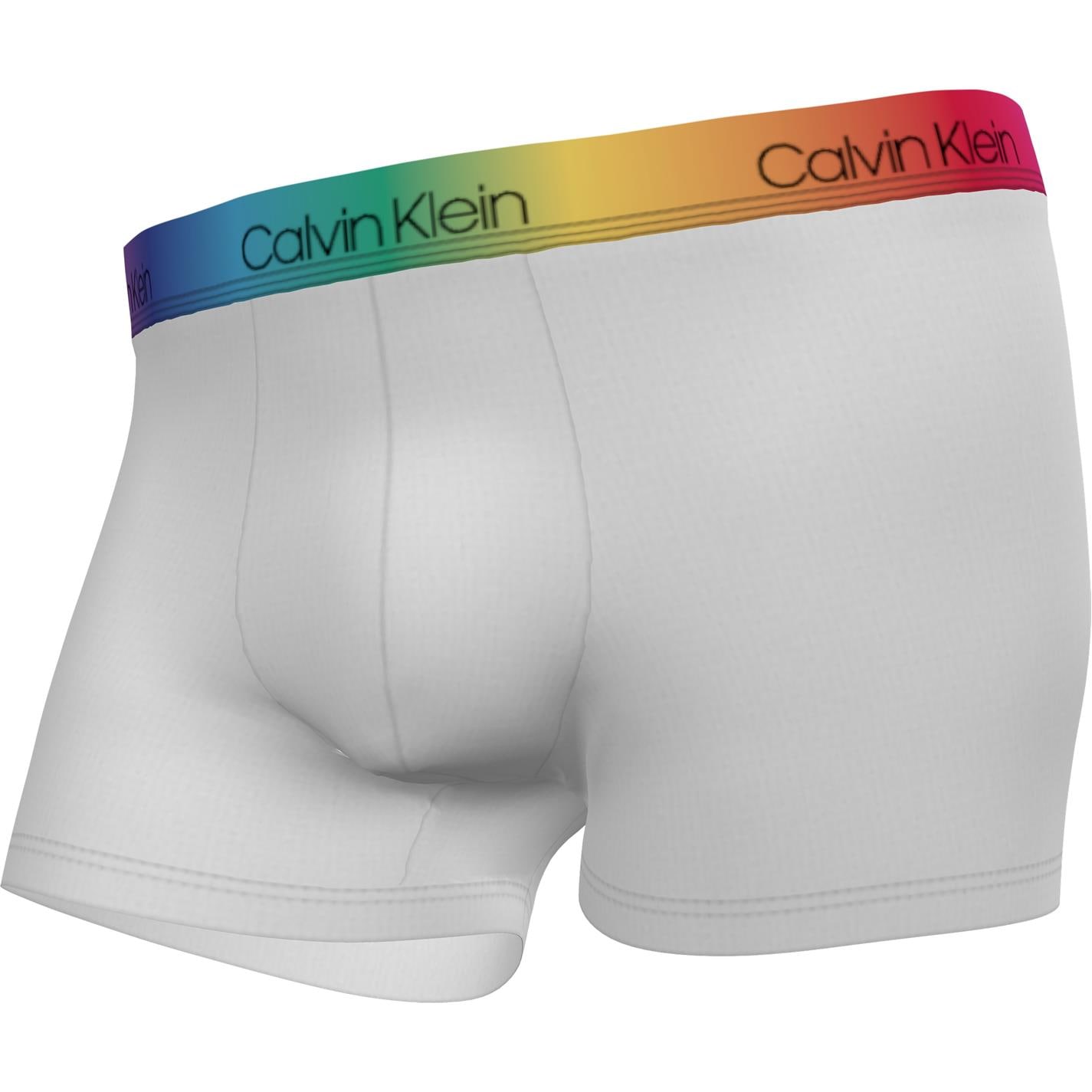 calvin klein pride trunks