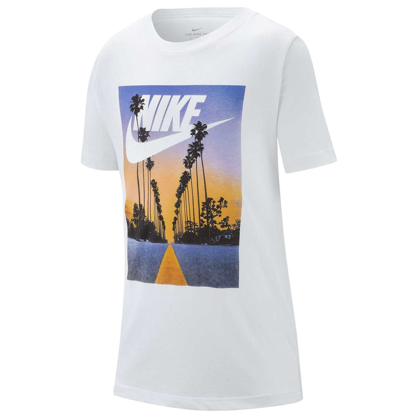 nike palm t shirt