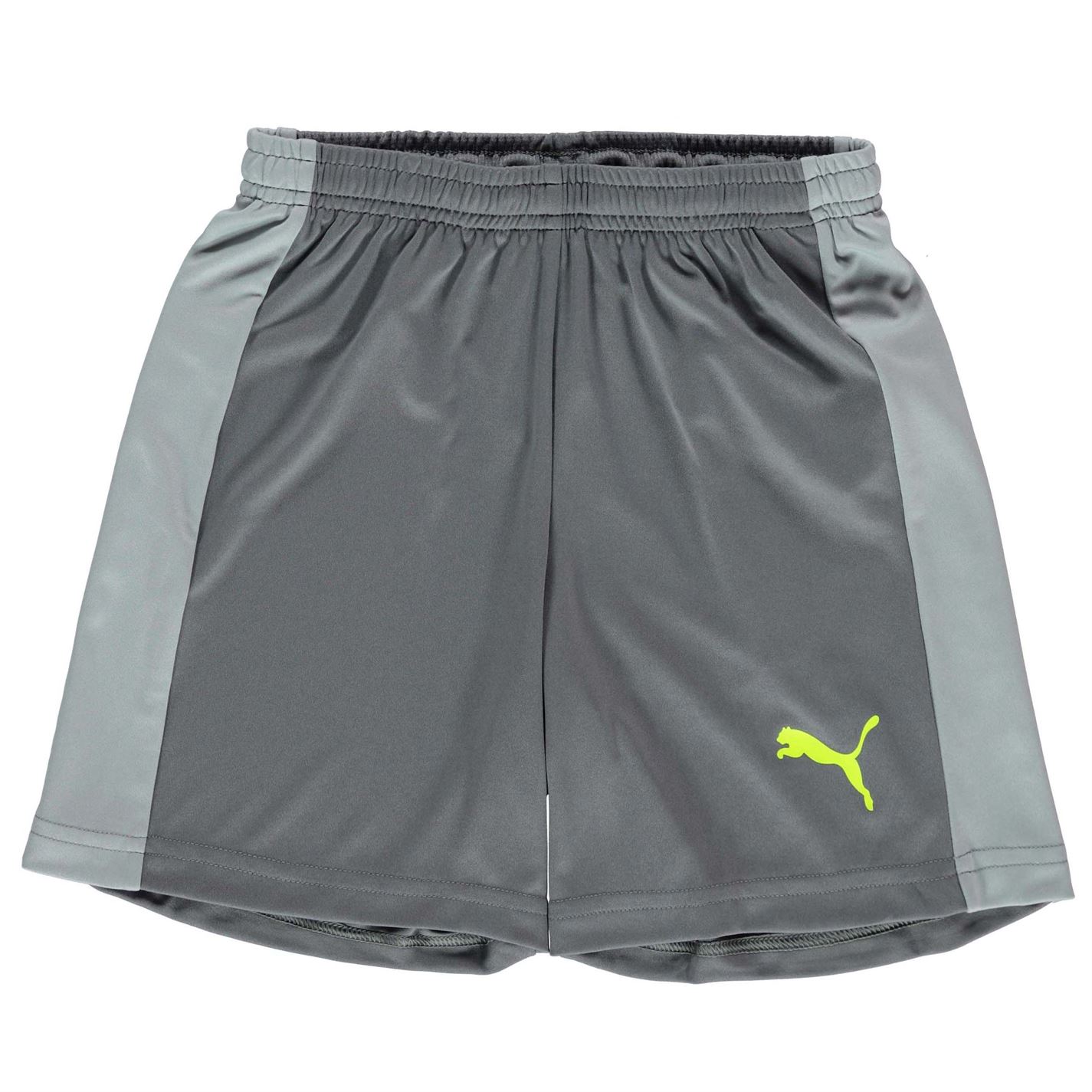 puma evo shorts