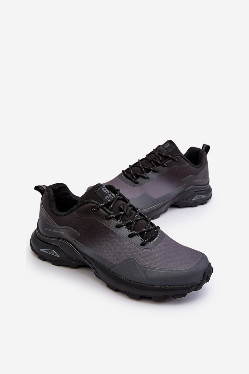 PE1