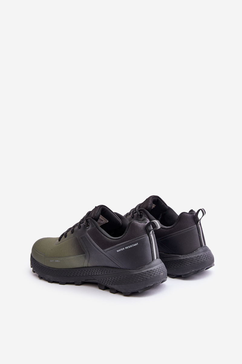 PE1