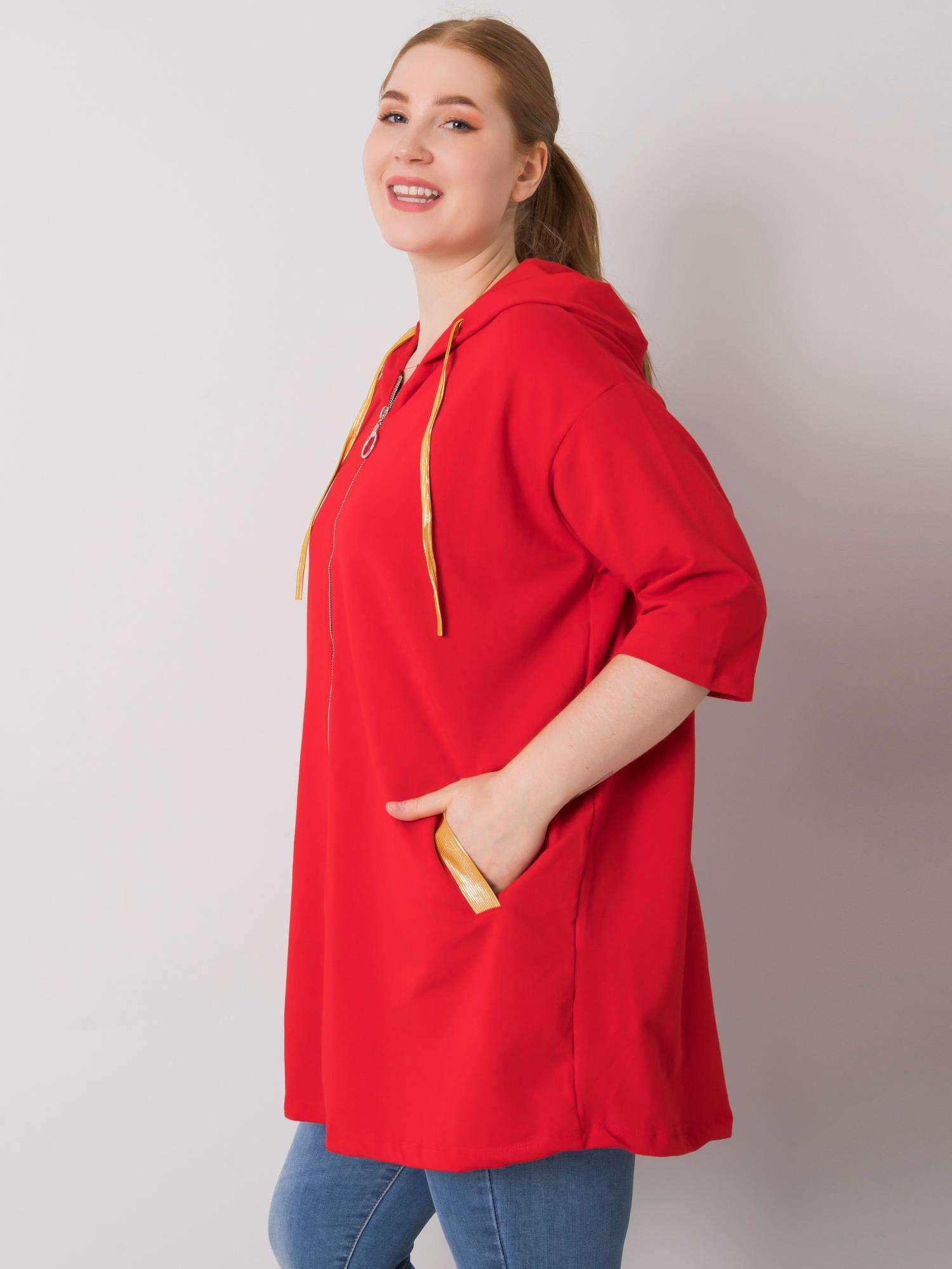 Sweatshirt-RV-BL-6863.59P-red
