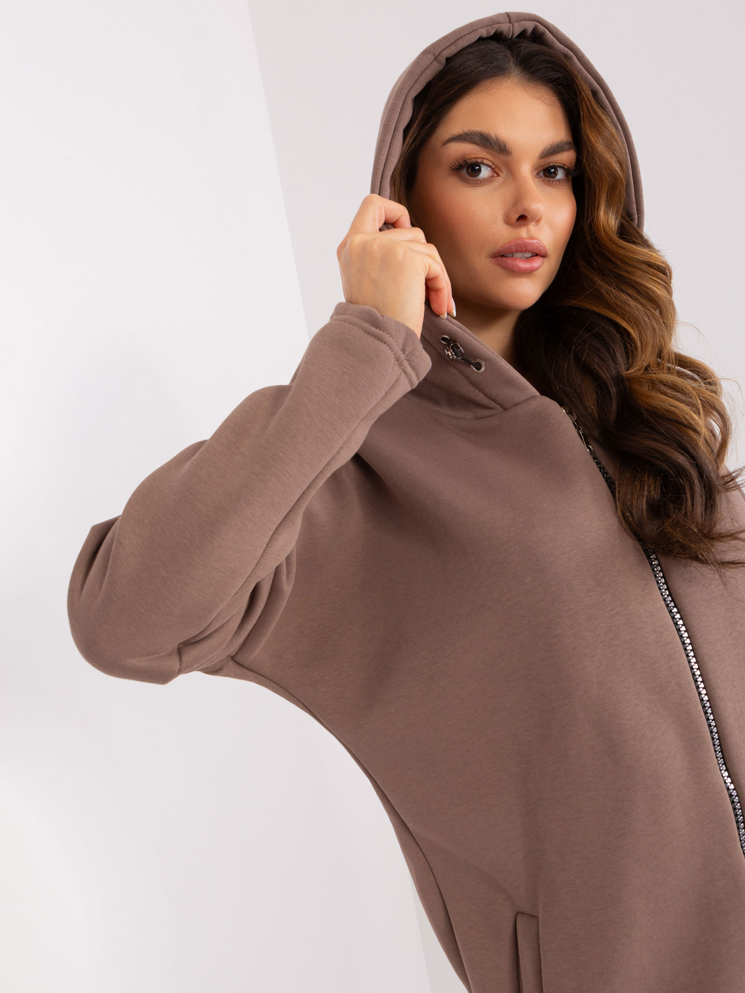 Sweatshirt-RV-BL-4858-2.97P-brown