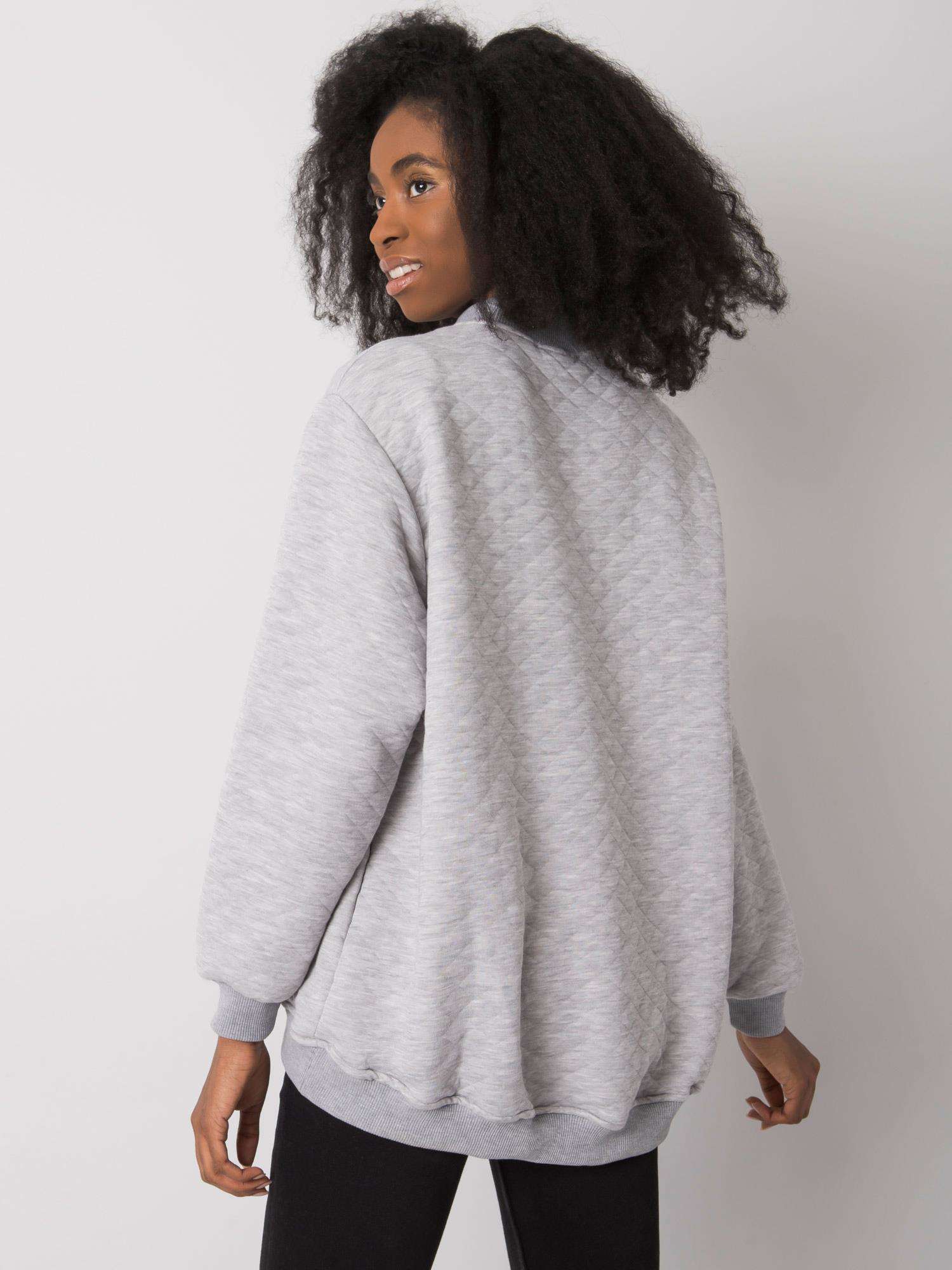 Sweatshirt-RV-BL-7447.29-gray