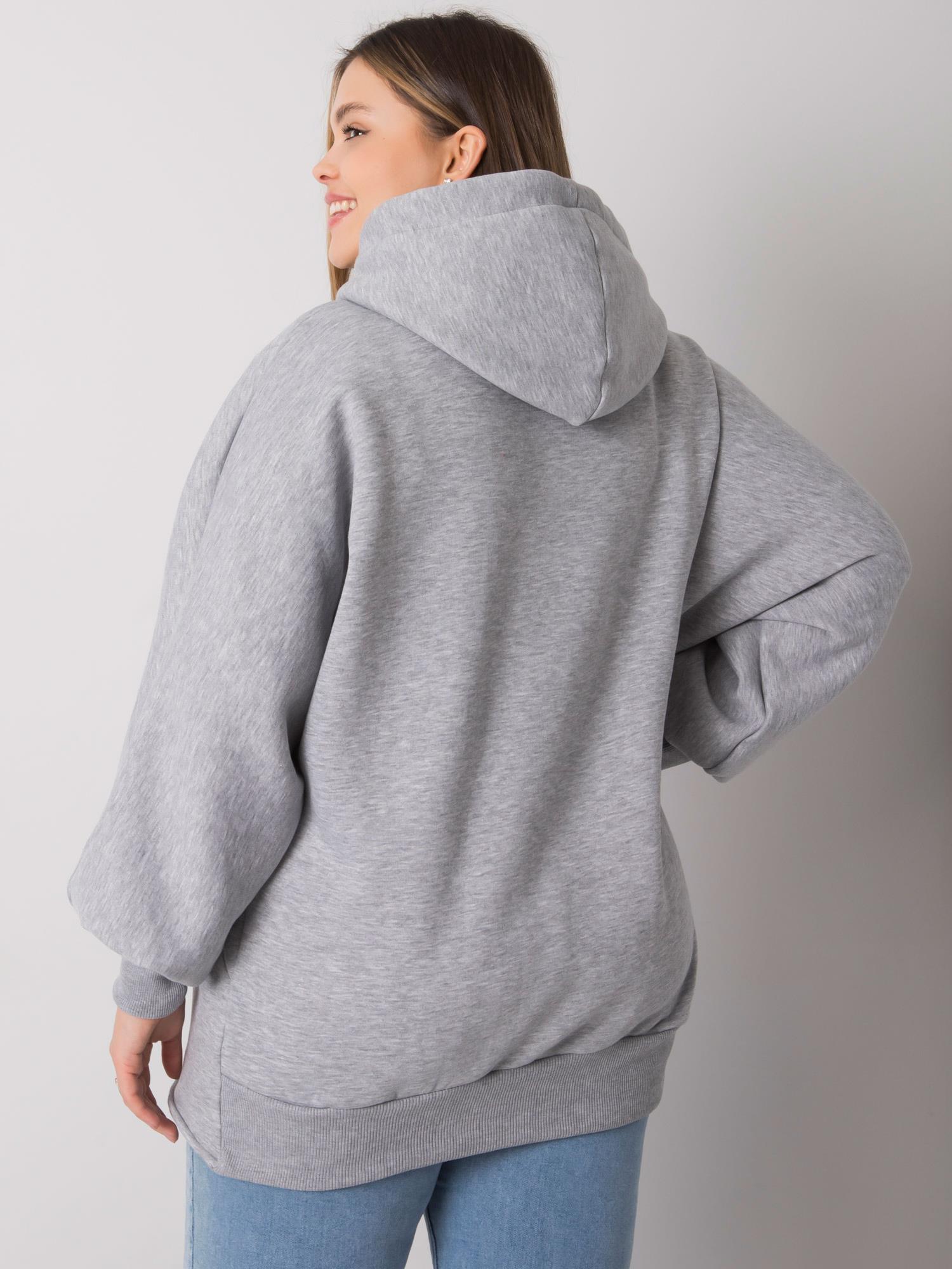Sweatshirt-RV-BL-7282.22P-grey