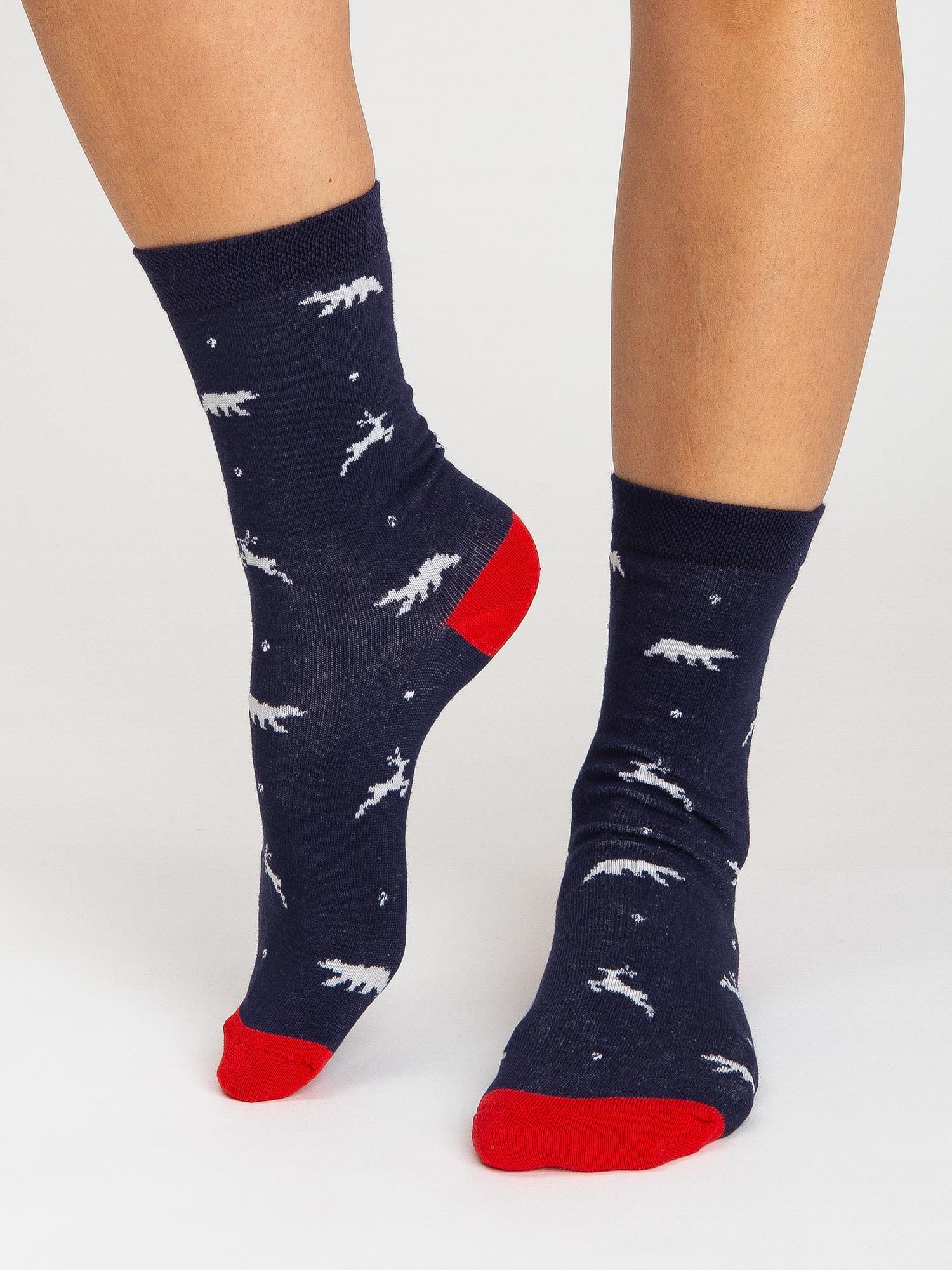 Socks-WS-SR-5637-multicolor