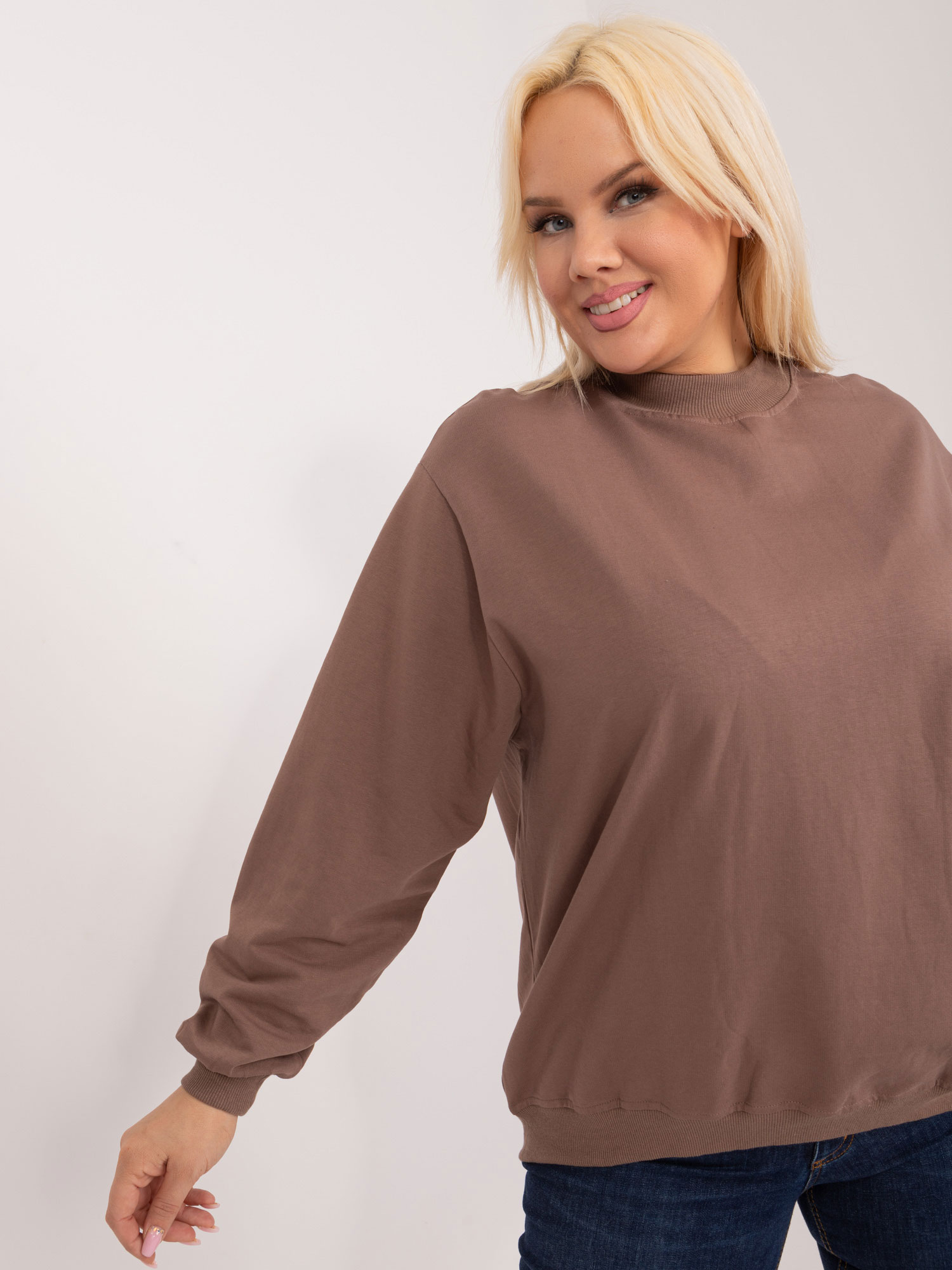 Sweatshirt-RV-BL-6299.11-brown