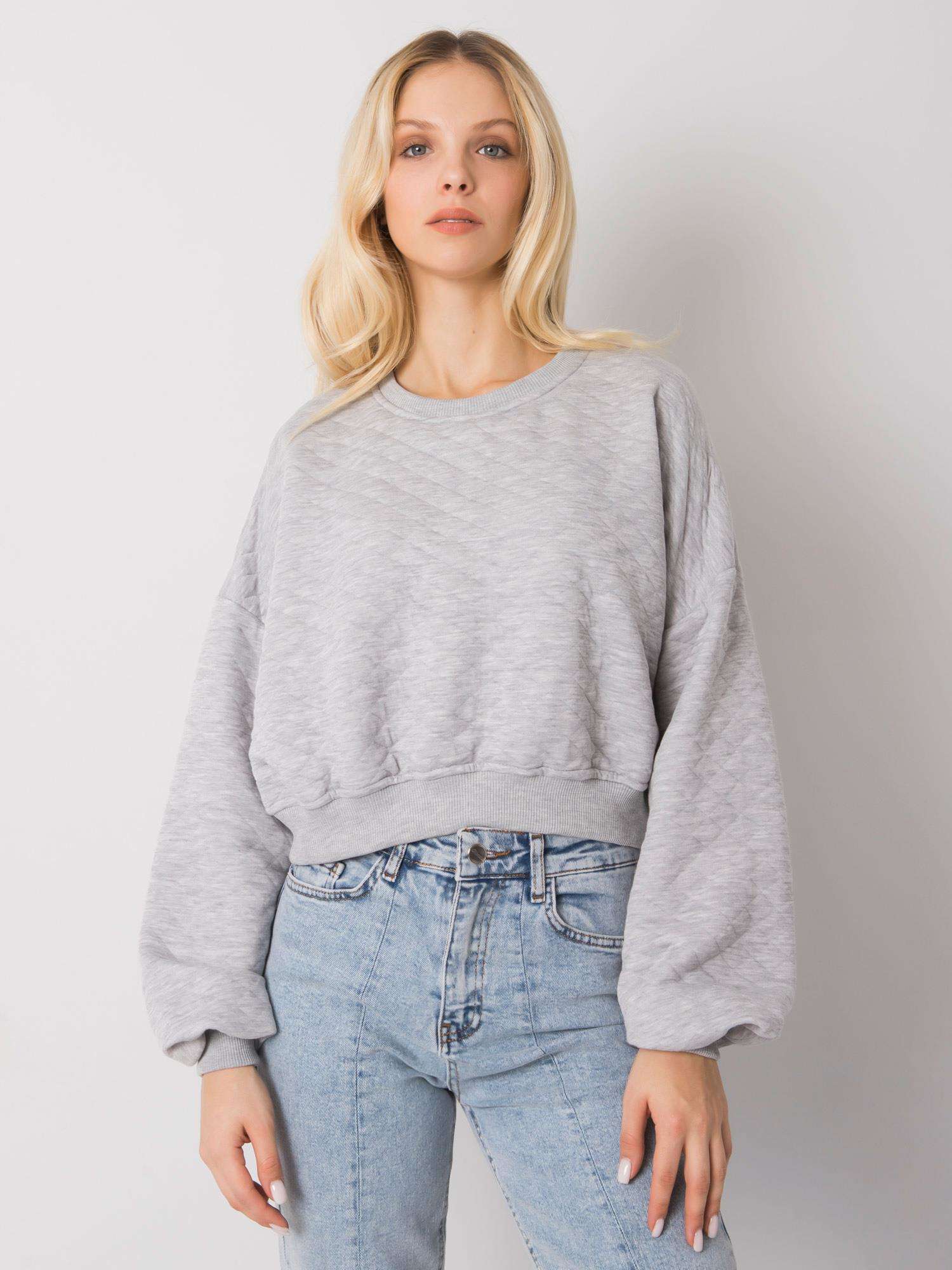 Sweatshirt-RV-BL-7450.64-gray