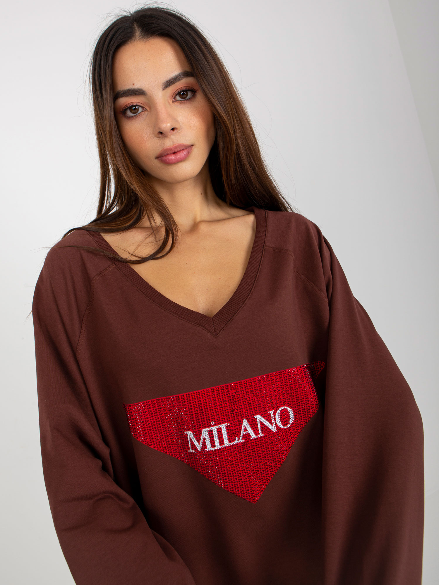 Sweatshirt-VI-BL-3113.73P-dark brown