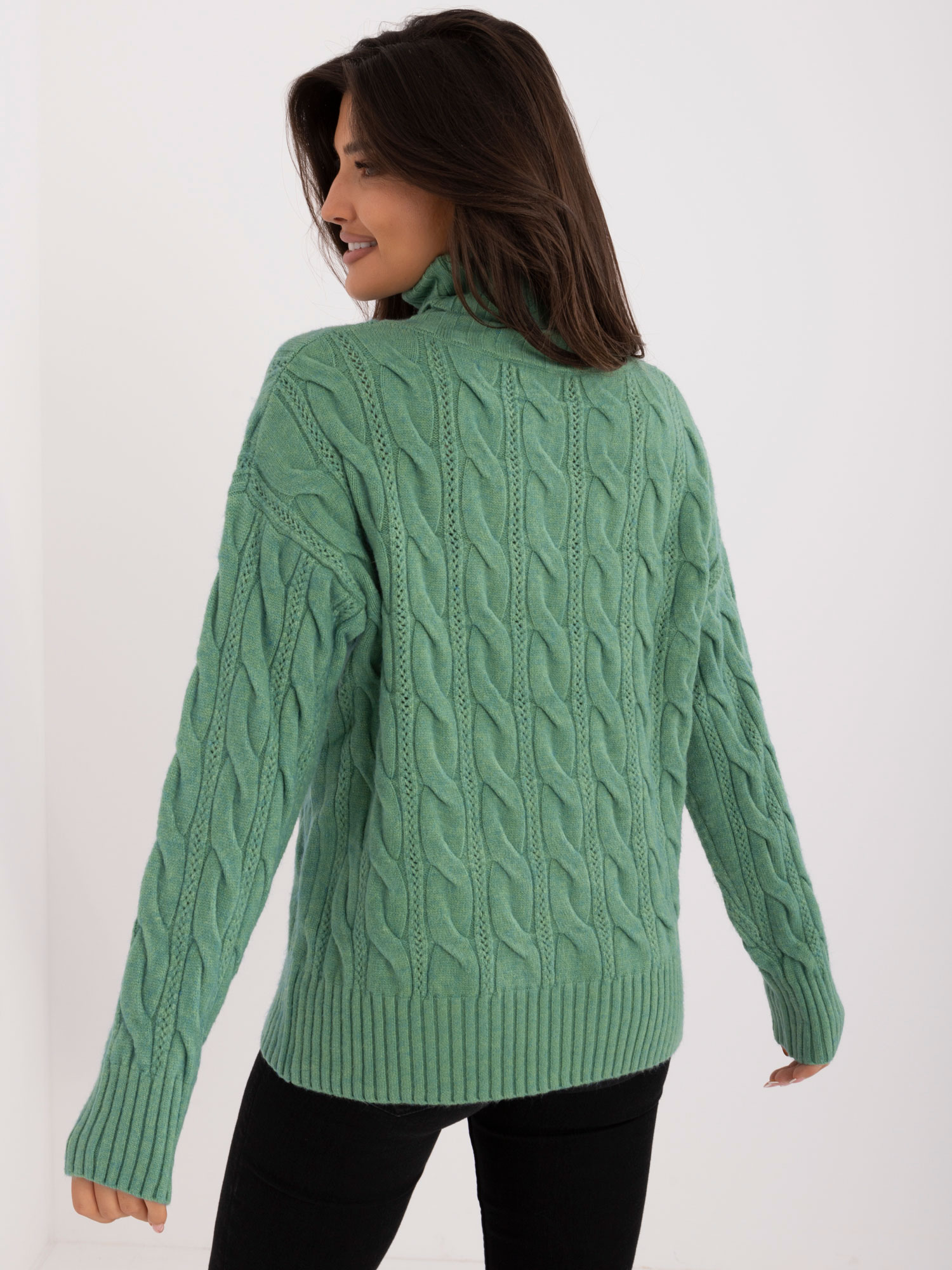 Sweater-AT-SW-23445.00-pistachio