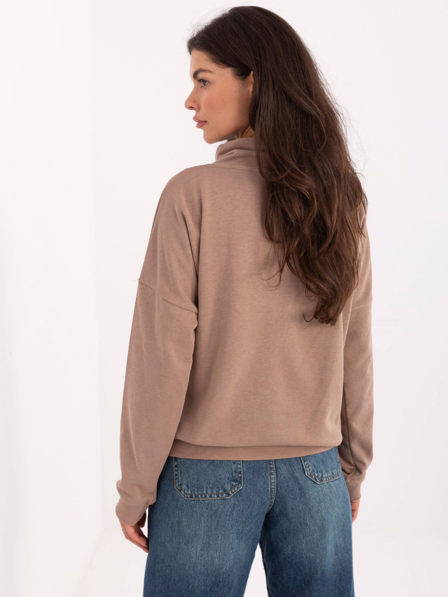 Sweatshirt-RV-BL-A874.01P-dark beige
