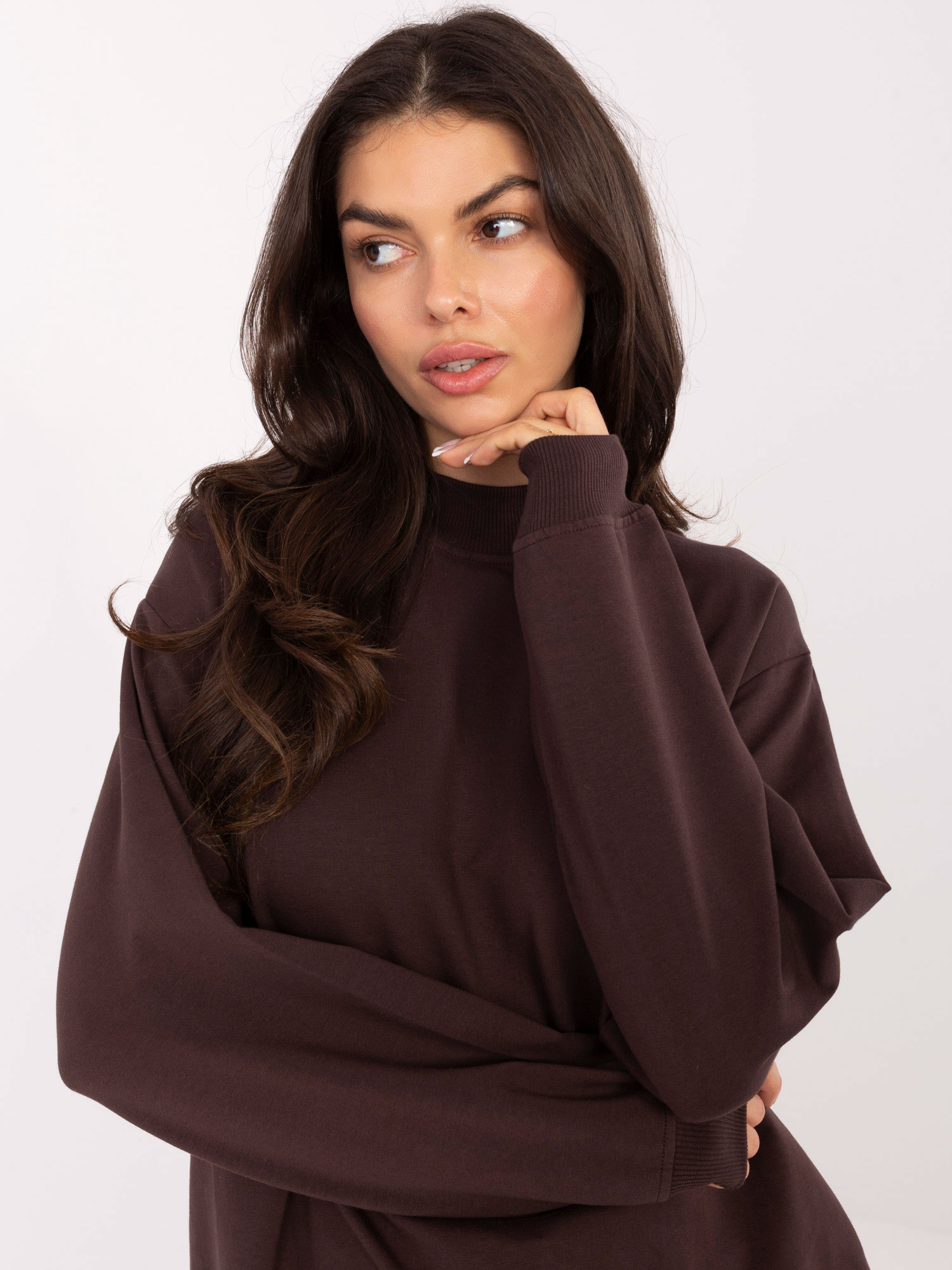 Sweatshirt-RV-BL-5185.70P-dark brown