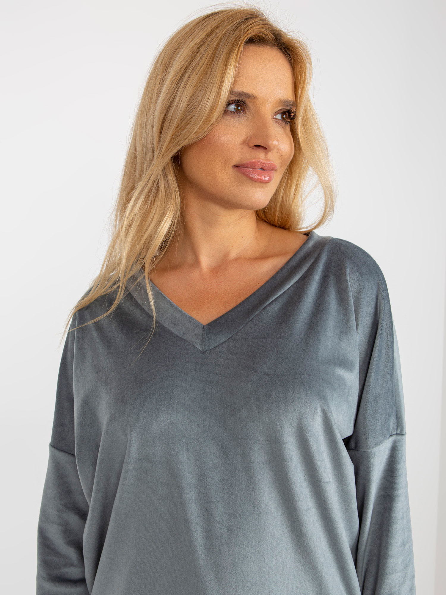 Sweatshirt-RV-BL-8441.07P-gray