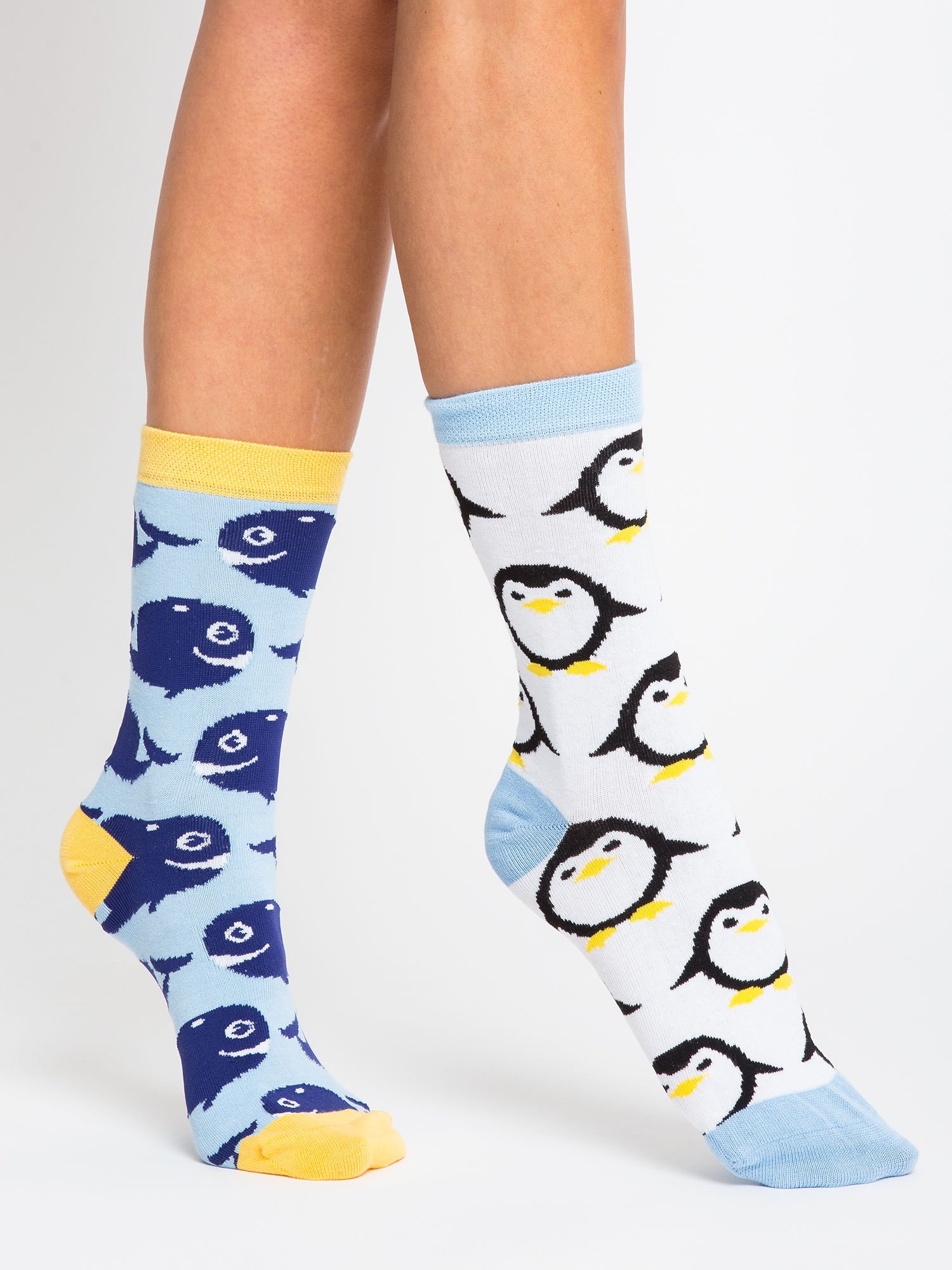 Socks-WS-SR-5542.08X-Multicolor