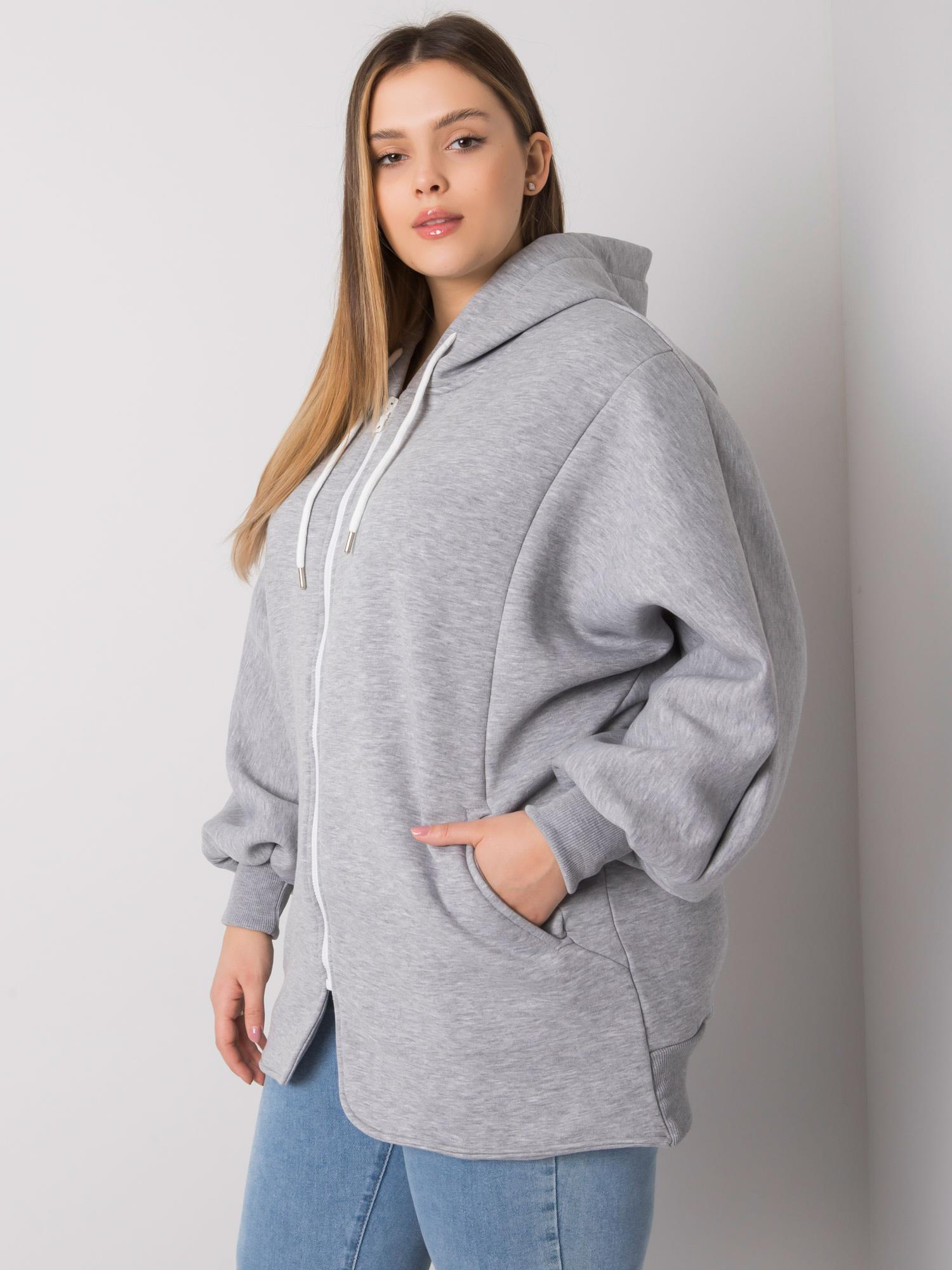 Sweatshirt-RV-BL-7282.22P-grey