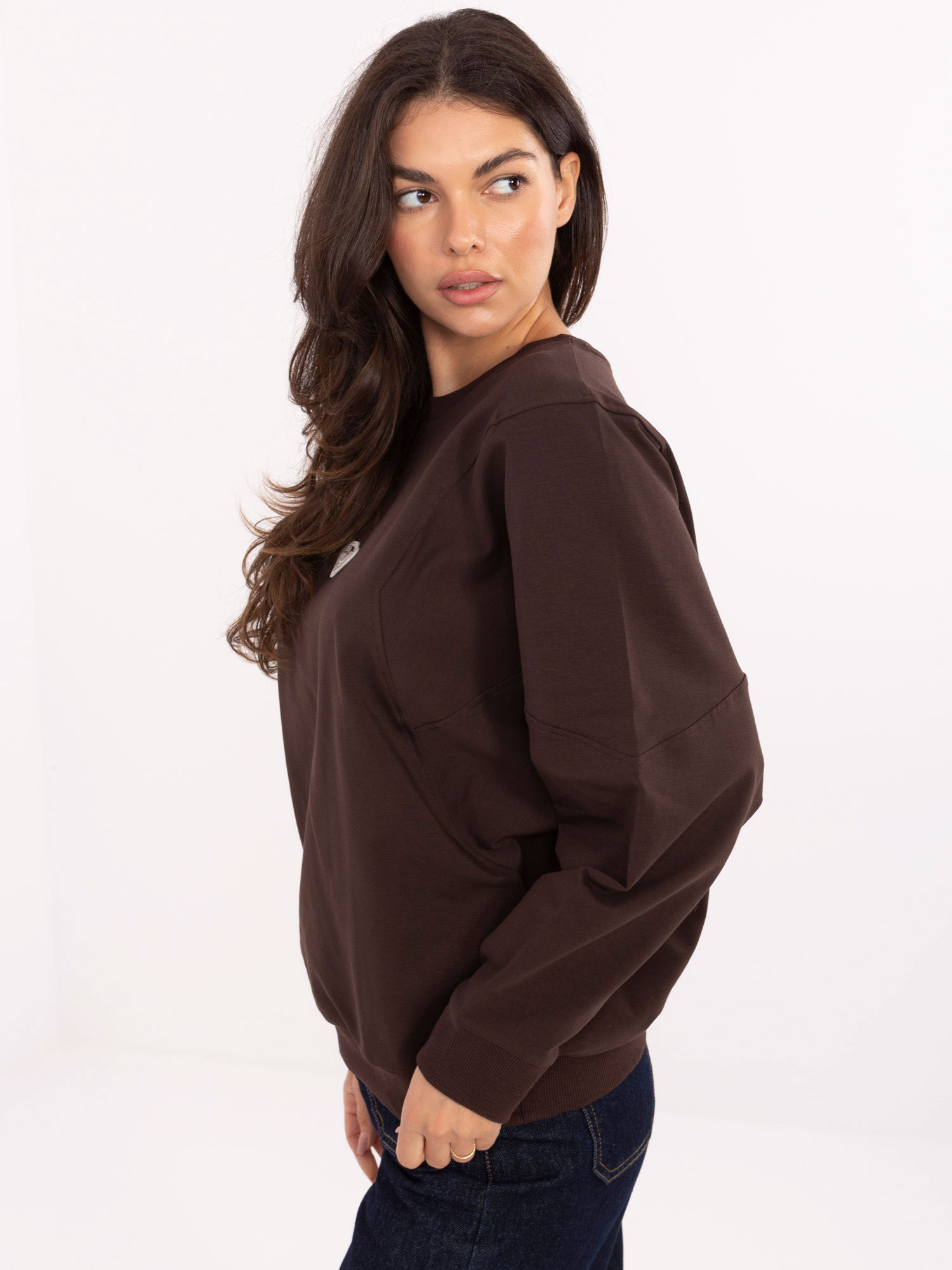 Sweatshirt-RV-BL-A877.19P-dark brown