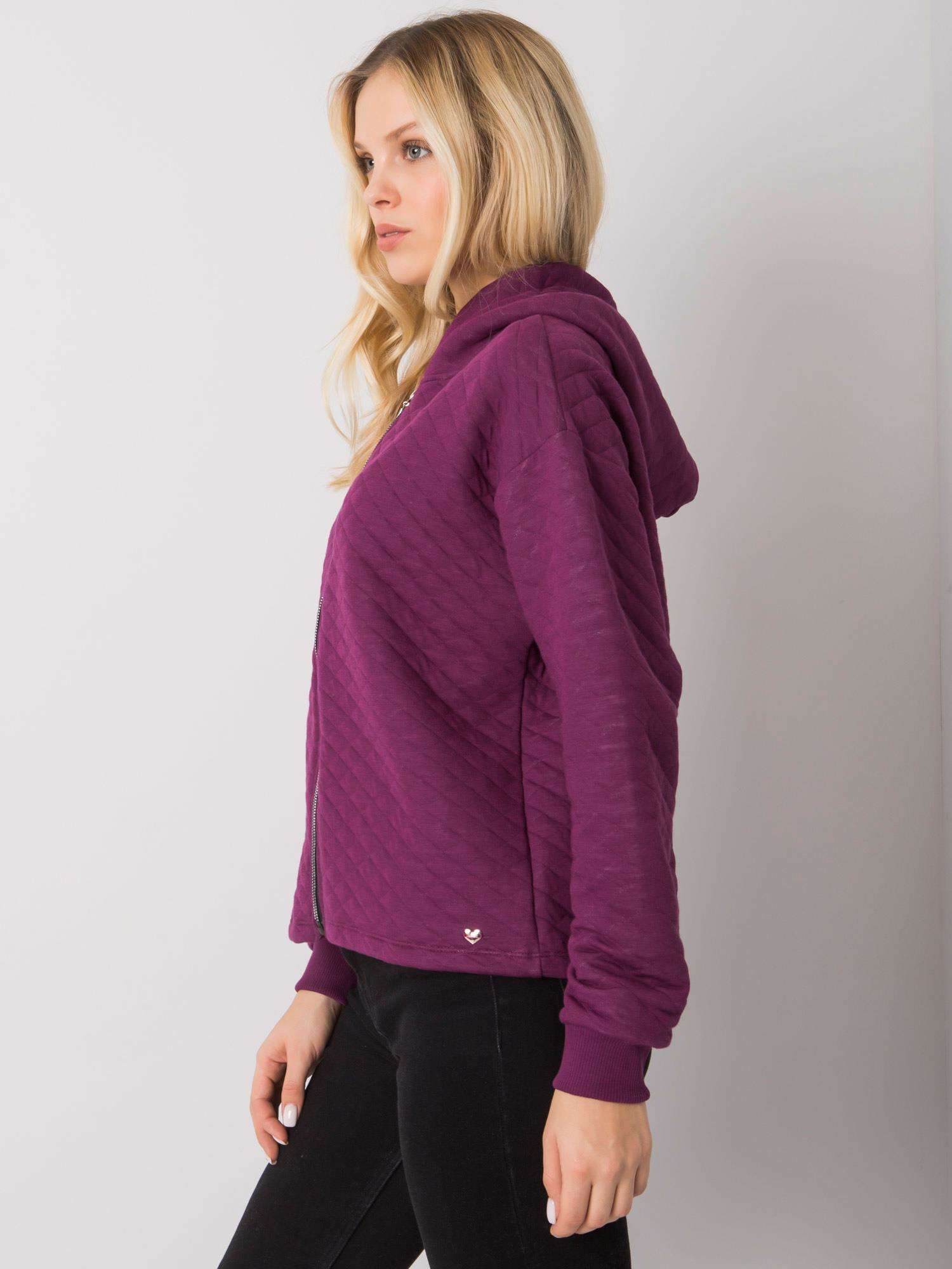 Sweatshirt-RV-BL-7449.66-dark purple