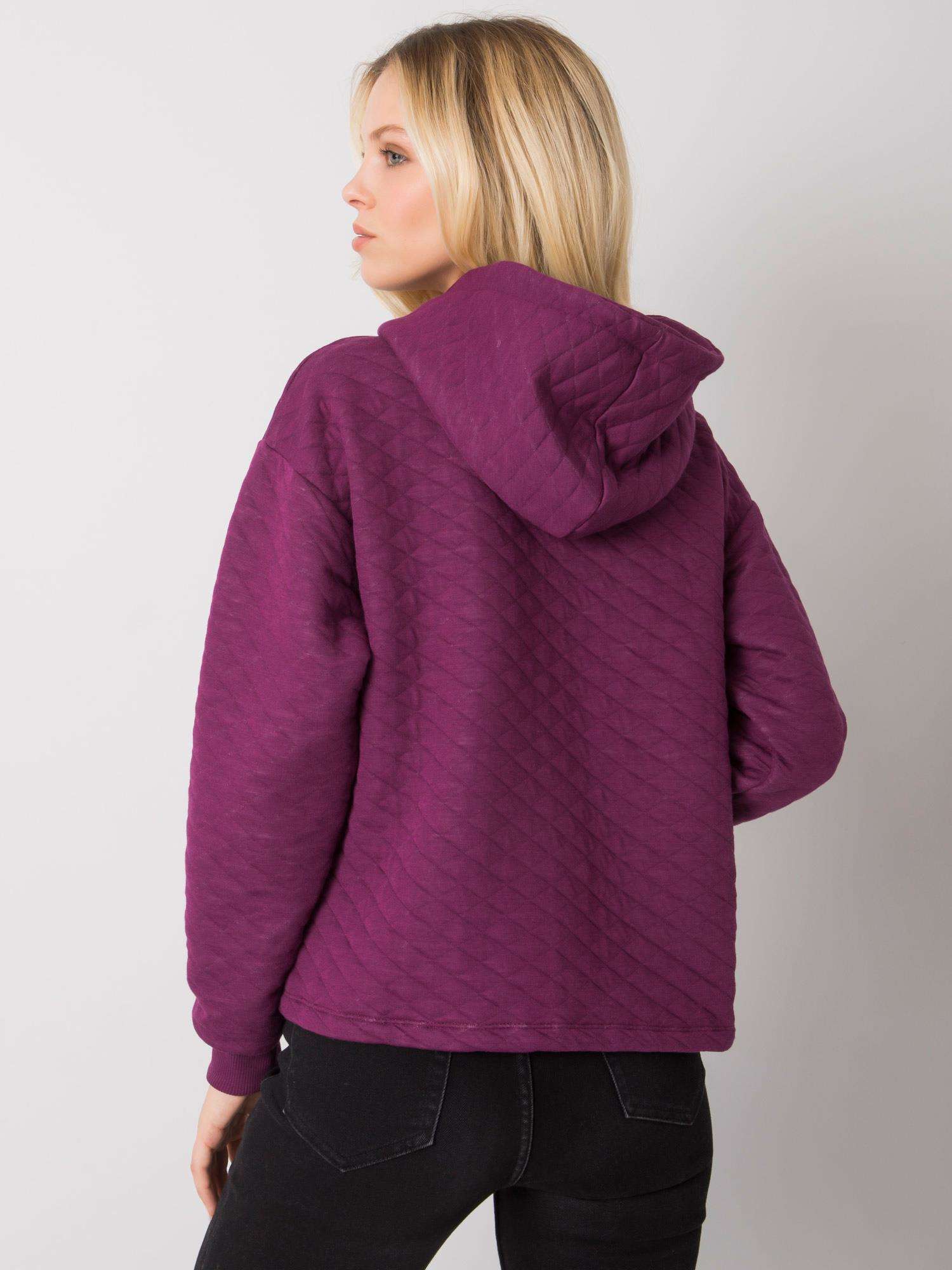 Sweatshirt-RV-BL-7449.66-dark purple