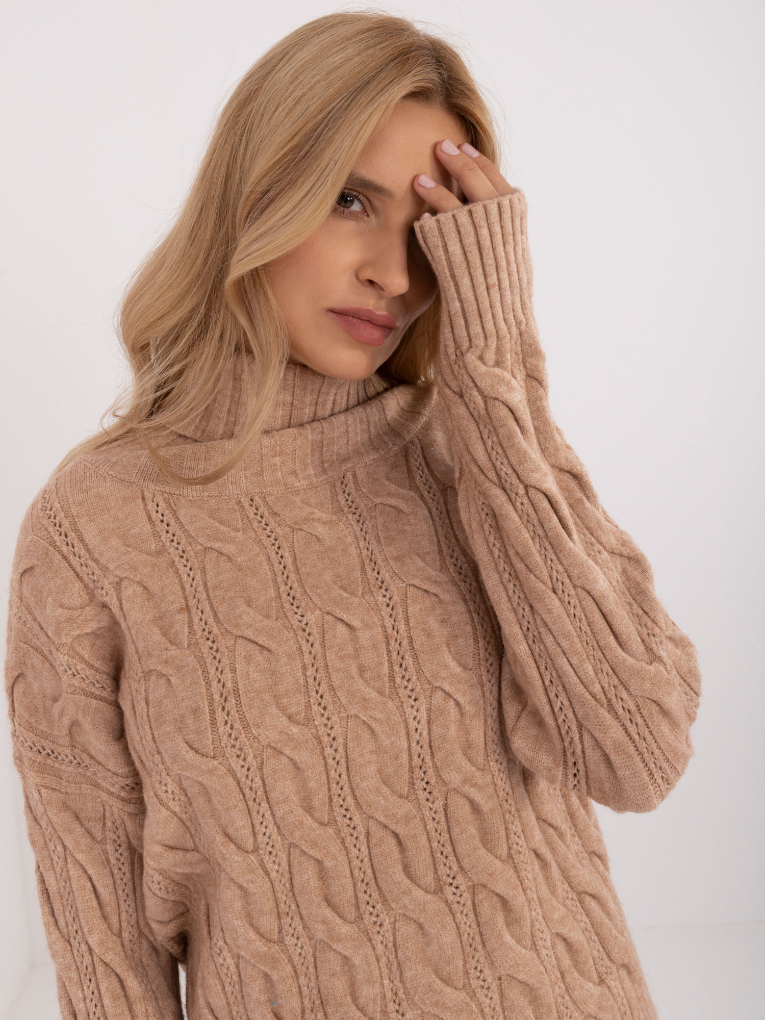 Sweater-AT-SW-23445.00-camel