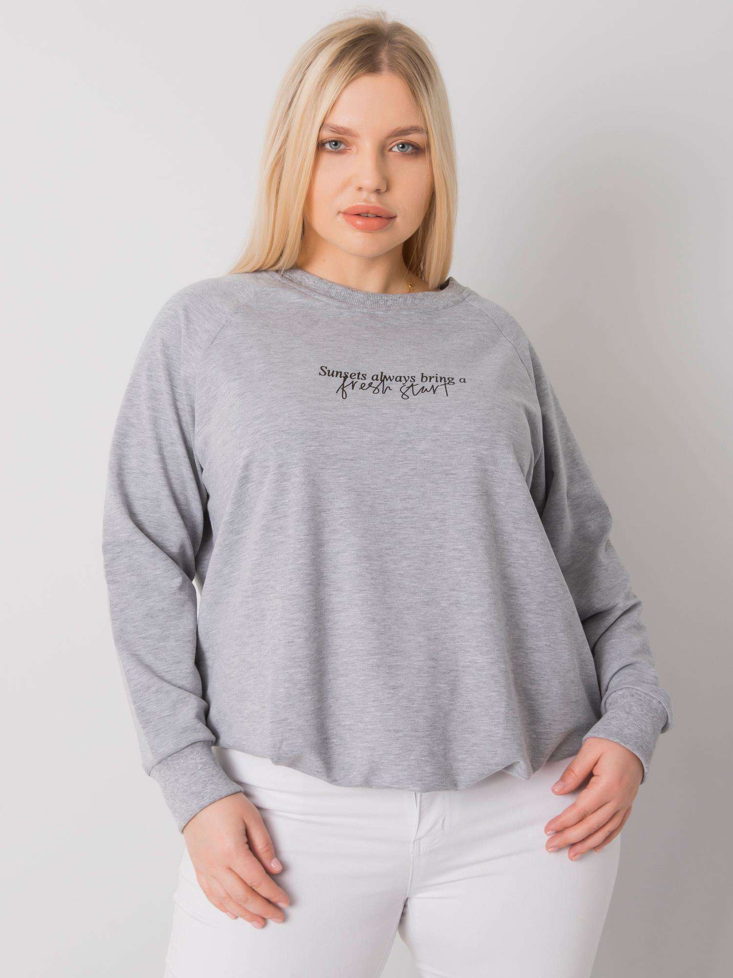 Sweatshirt-RV-BL-7162.12P-grey