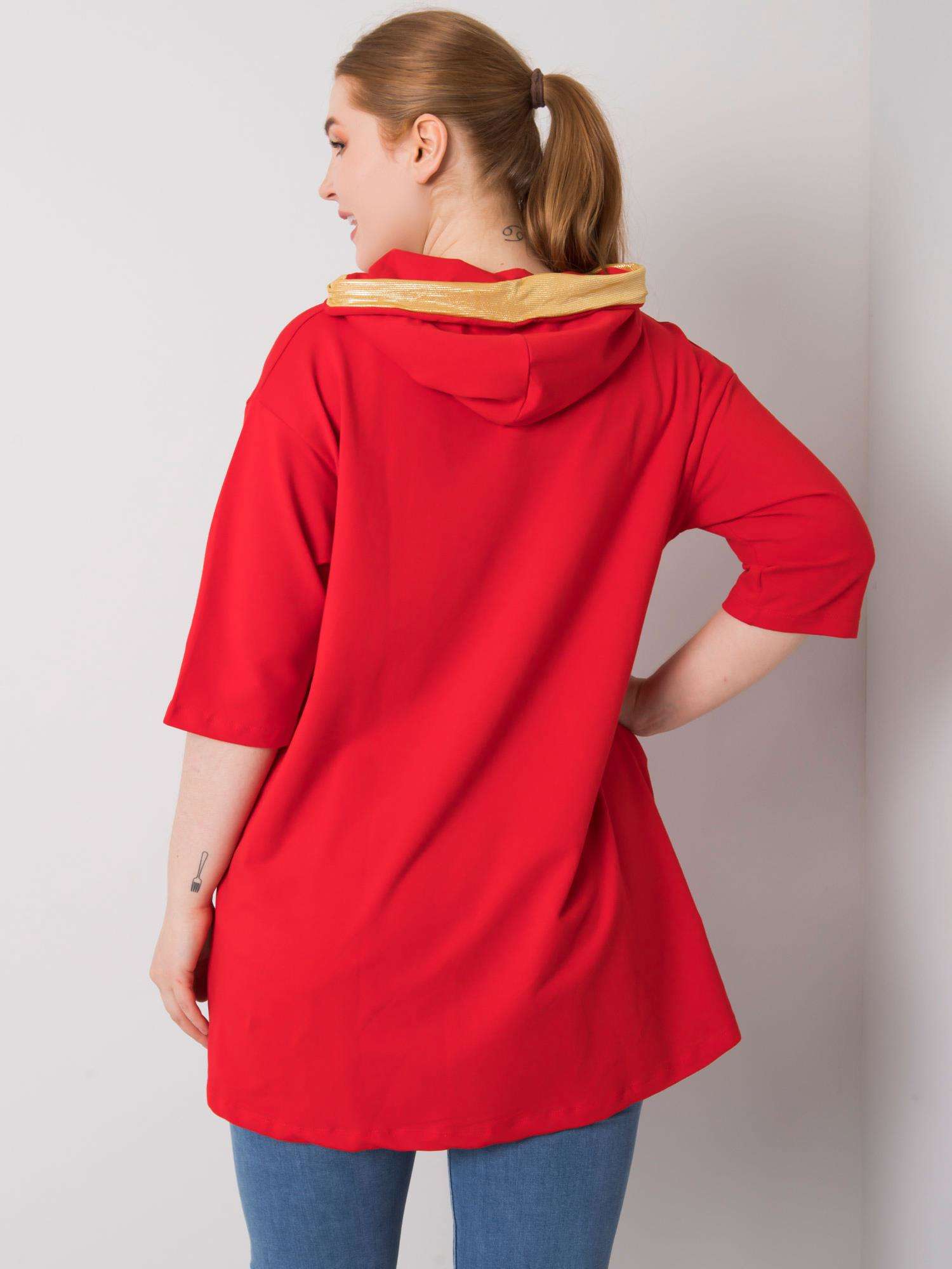 Sweatshirt-RV-BL-6863.59P-red