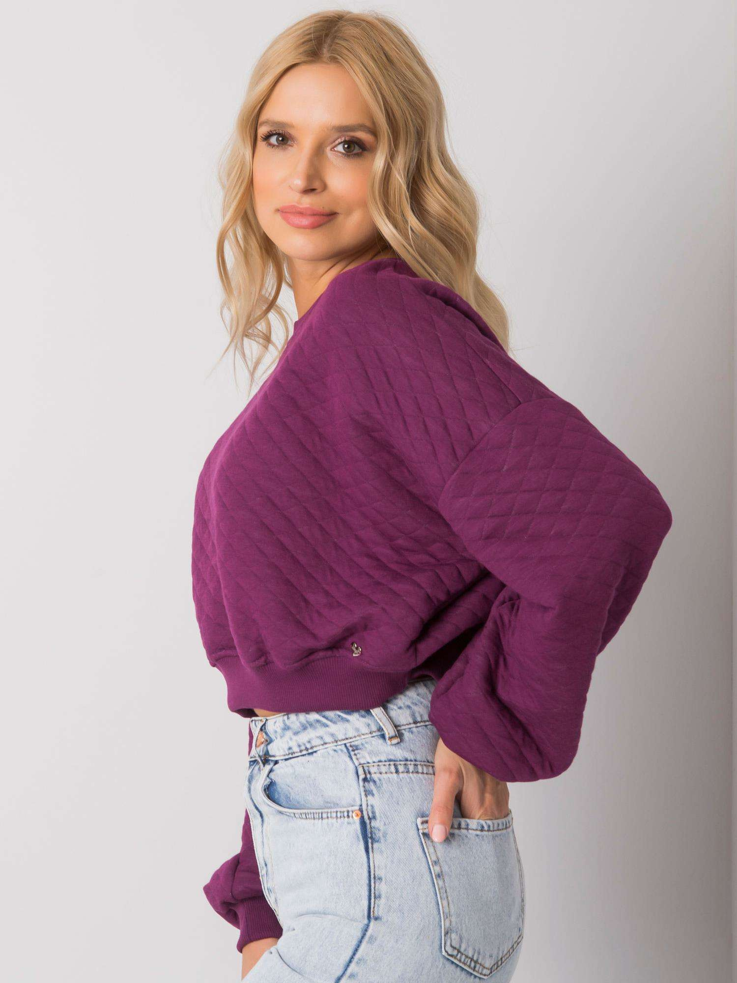 Sweatshirt-RV-BL-7450.64-dark purple