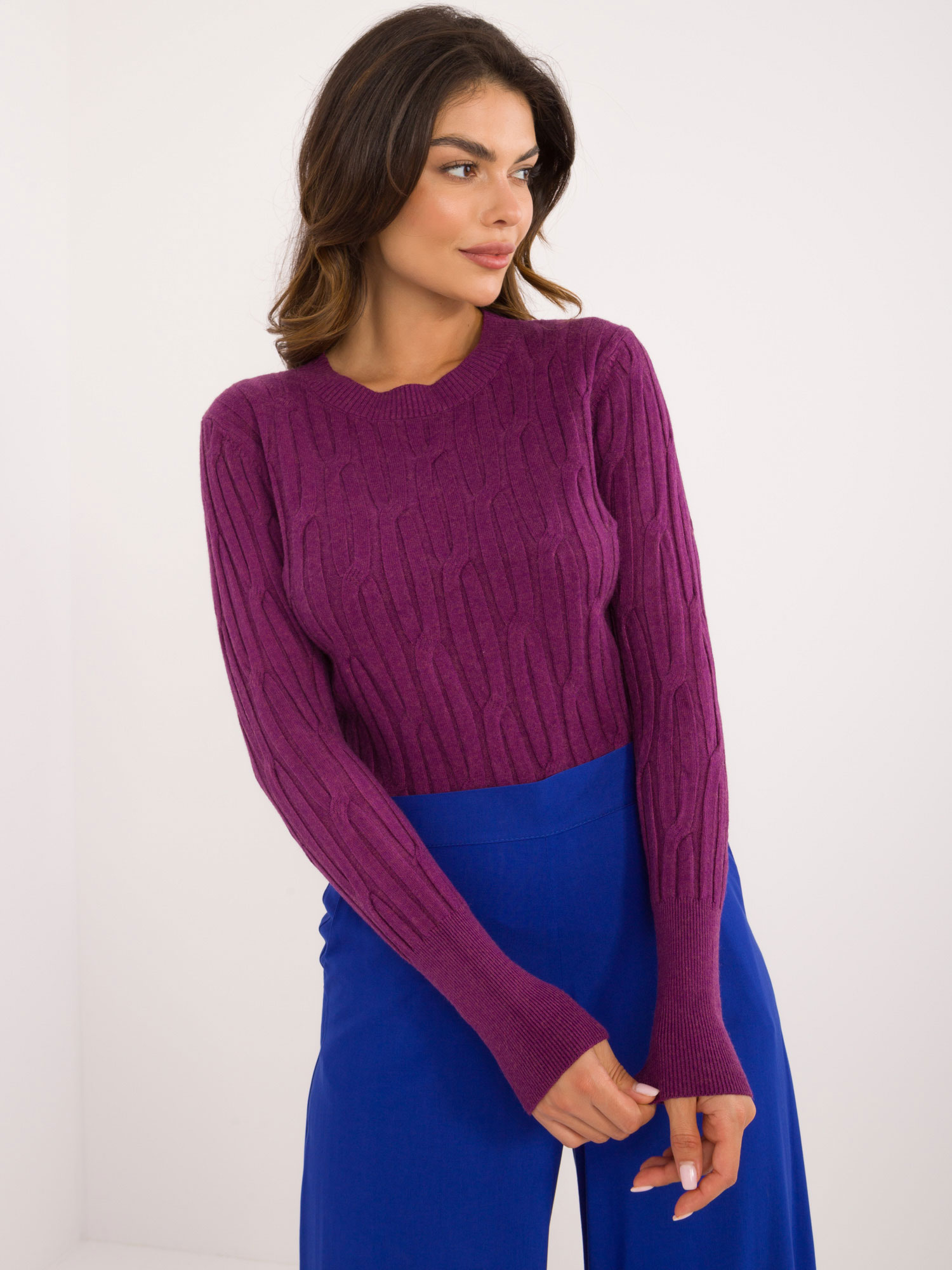 Sweater-AT-SW-2338-2.61-purple