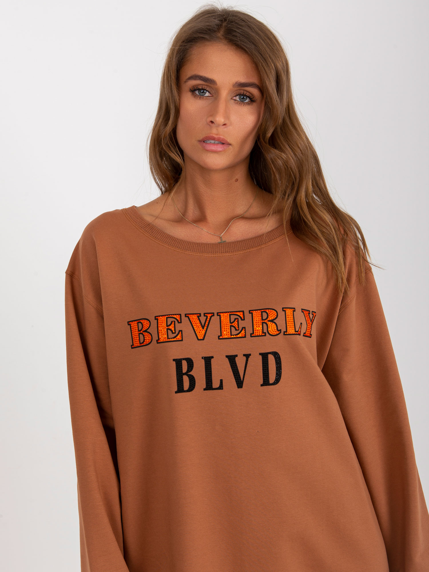 Sweatshirt-VI-BL-3075.64P-light brown
