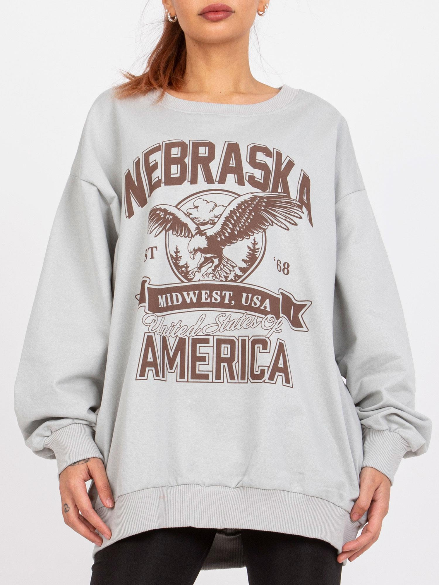 Sweatshirt-FA-BL-7667.84P-light gray