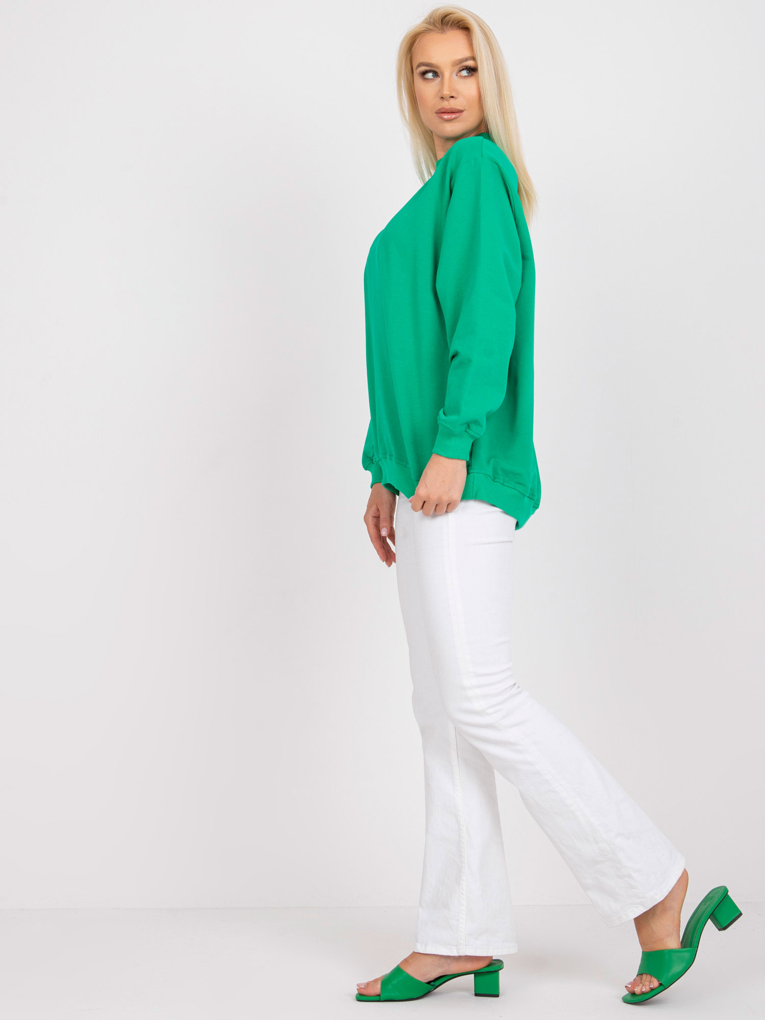 Sweatshirt-RV-BL-5185.73P-green