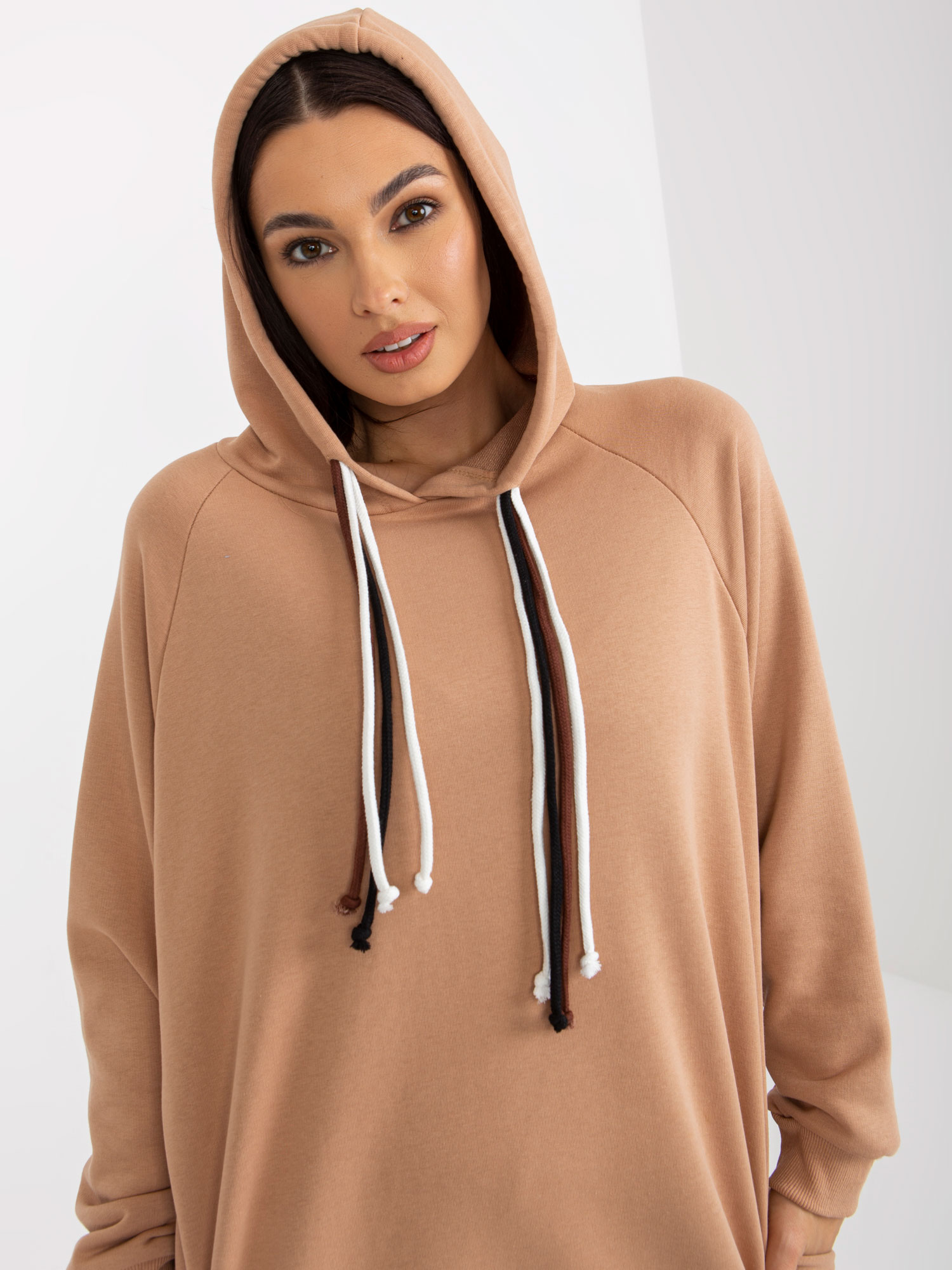 Sweatshirt-FA-BL-8059.29P-camel