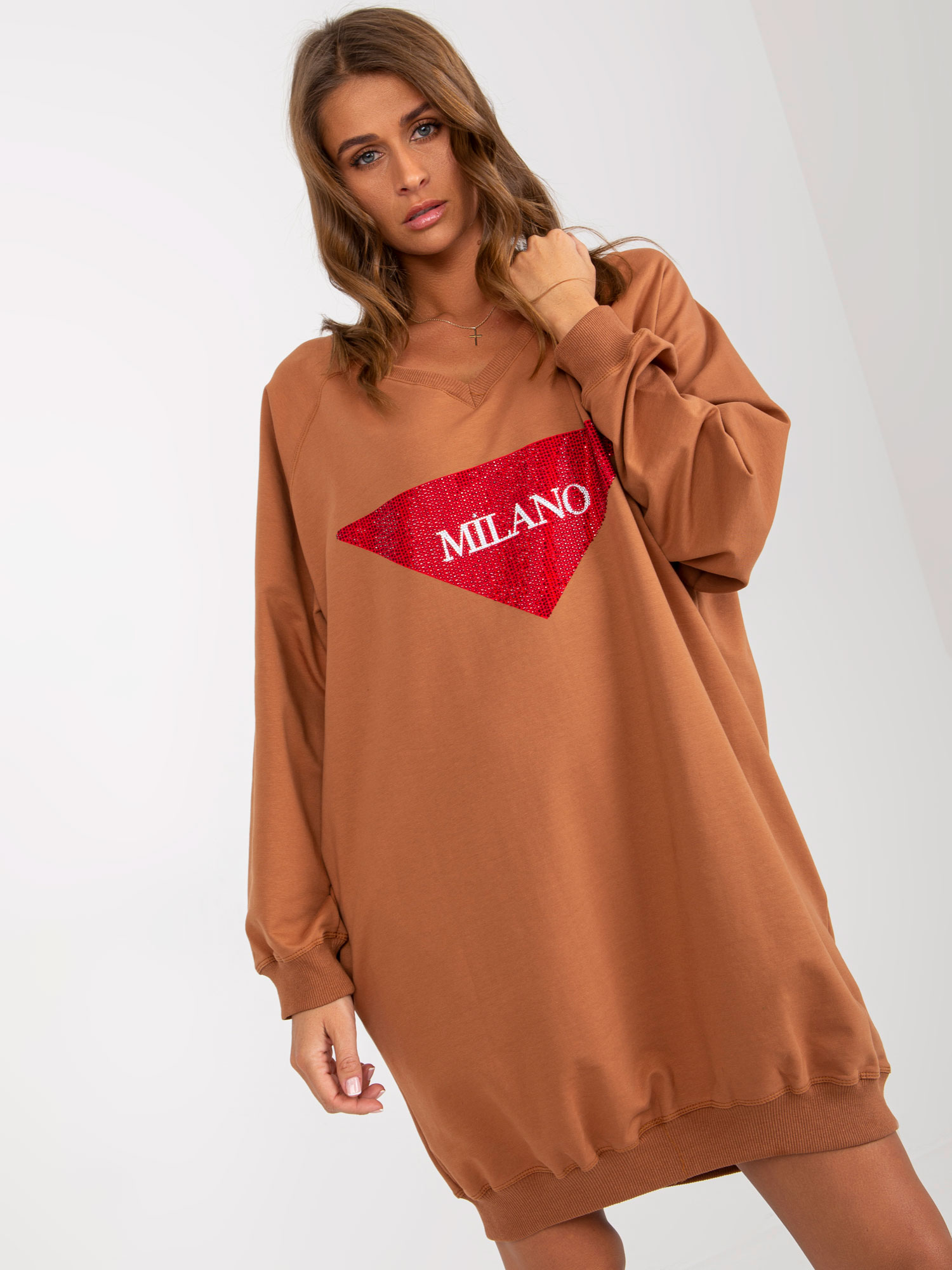 Sweatshirt-VI-BL-3113.73P-light brown