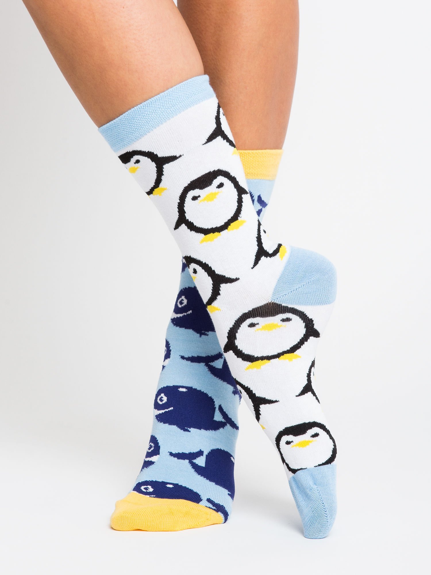 Socks-WS-SR-5542.08X-Multicolor