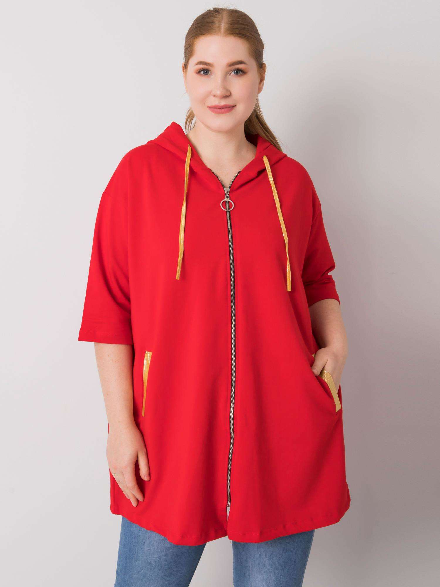 Sweatshirt-RV-BL-6863.59P-red