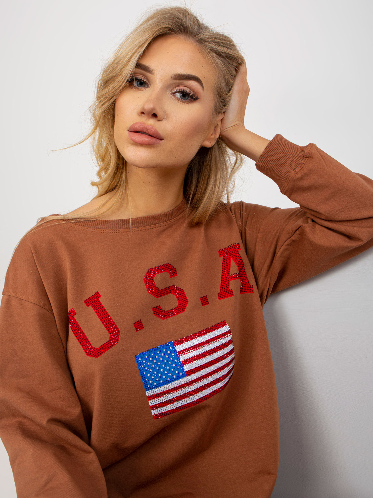Sweatshirt-VI-BL-3192.23P-light brown